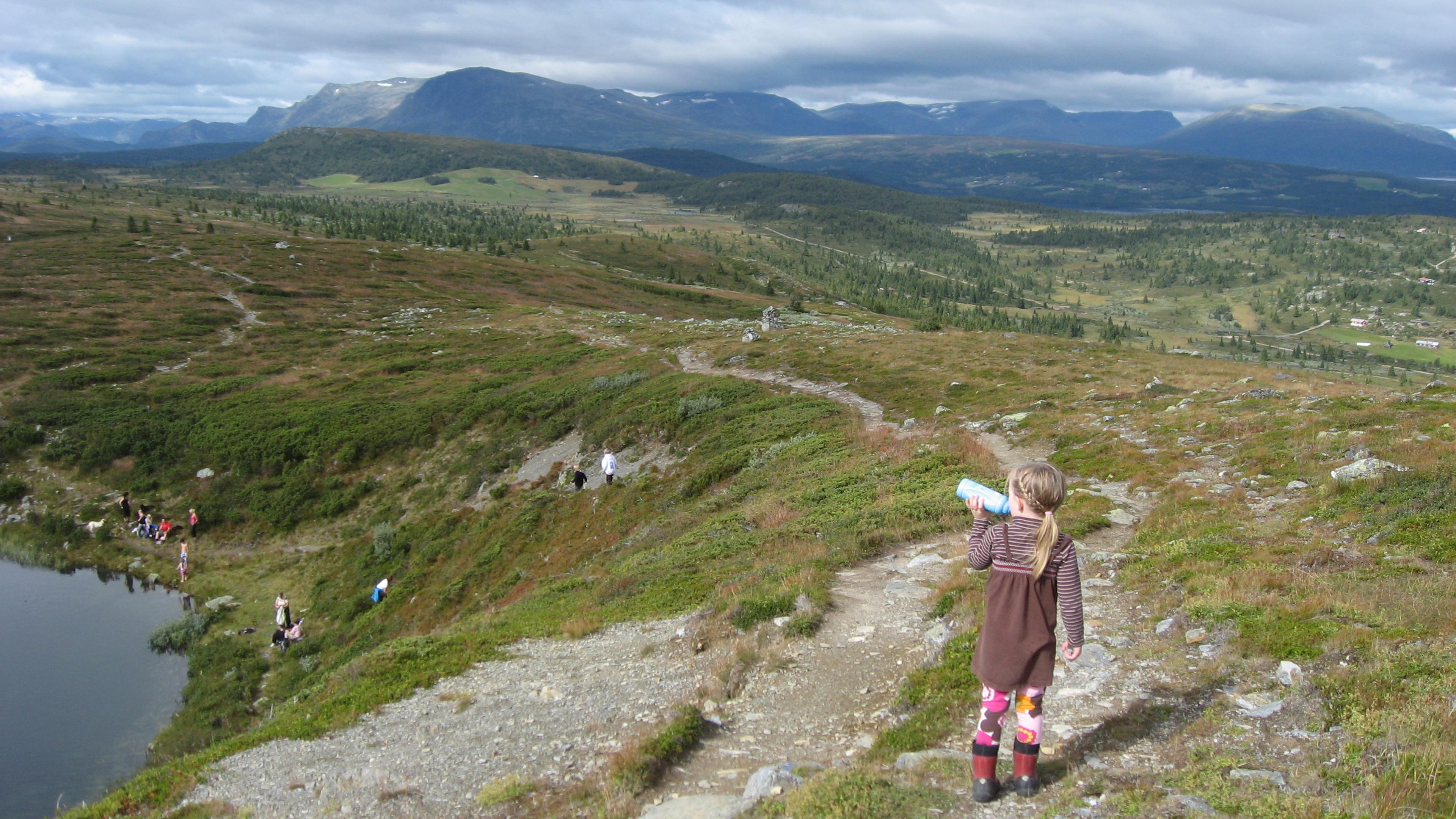 Ørterhøvda, Golsfjellet, Norge