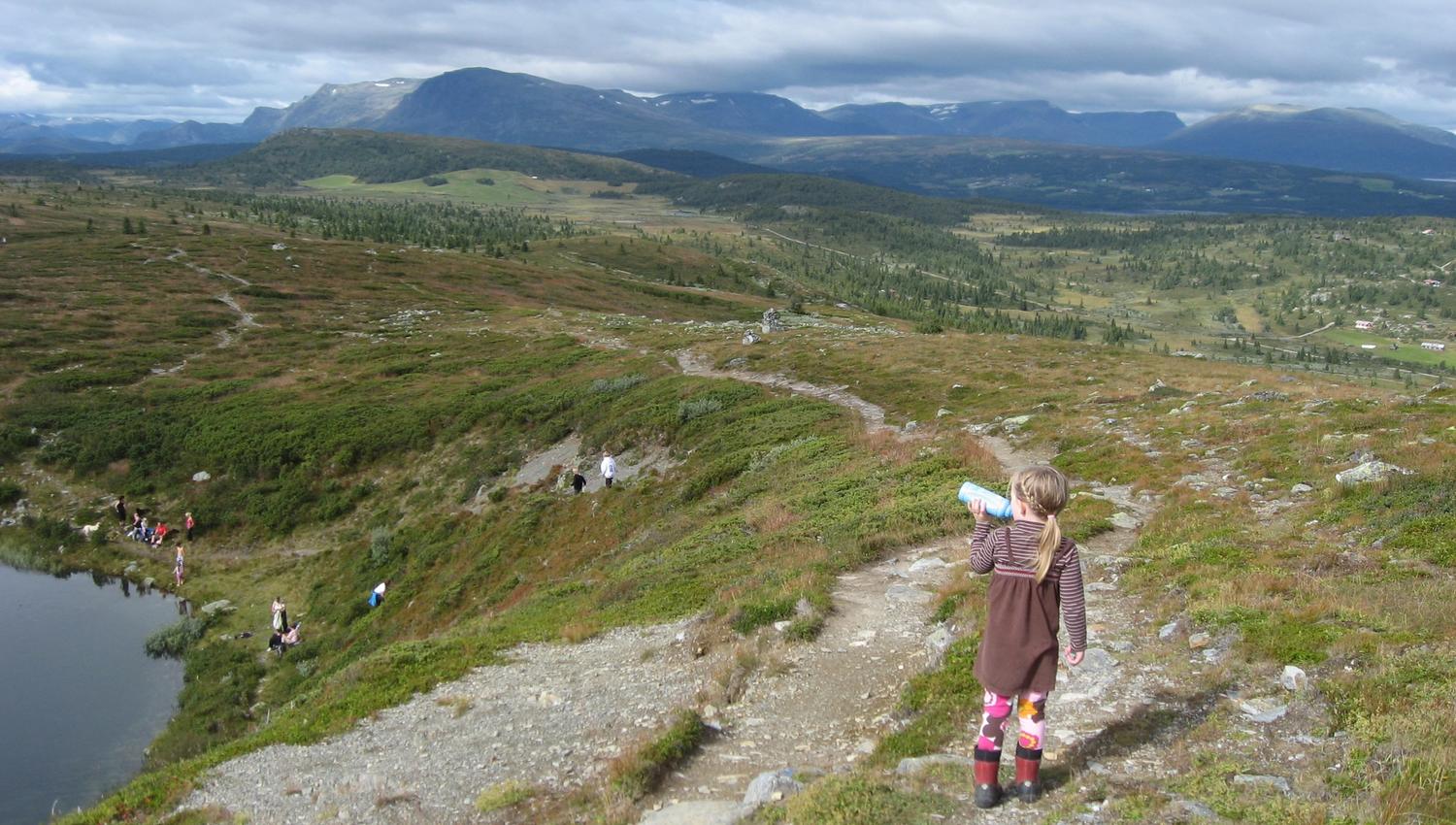 Ørterhøvda, Golsfjellet, Norge