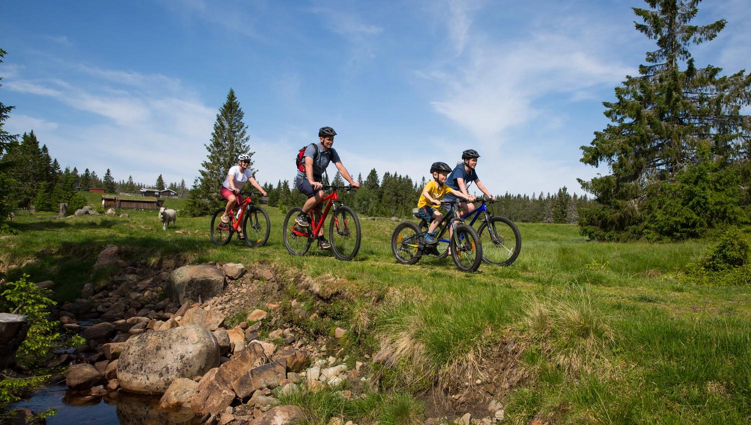 Sykkelstier ved Budor koidedal