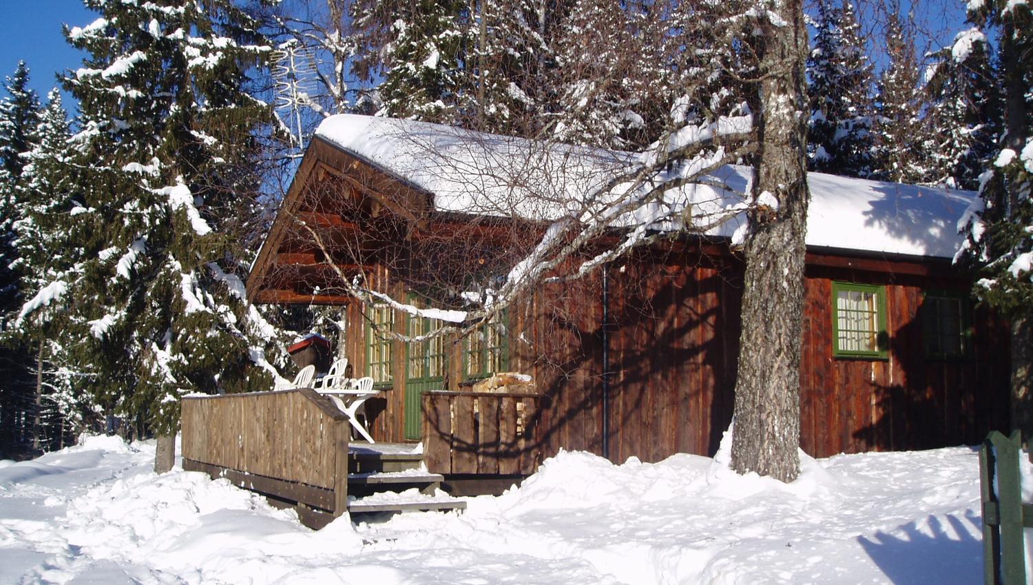 Hytte i skogen - vinter