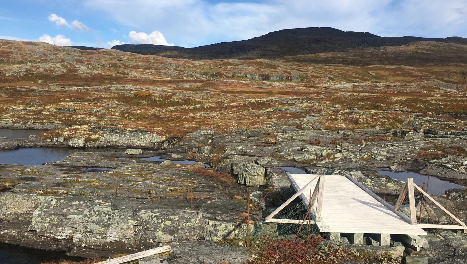 Small wooden bridge over water and rocky terrain on Hardangervidda.