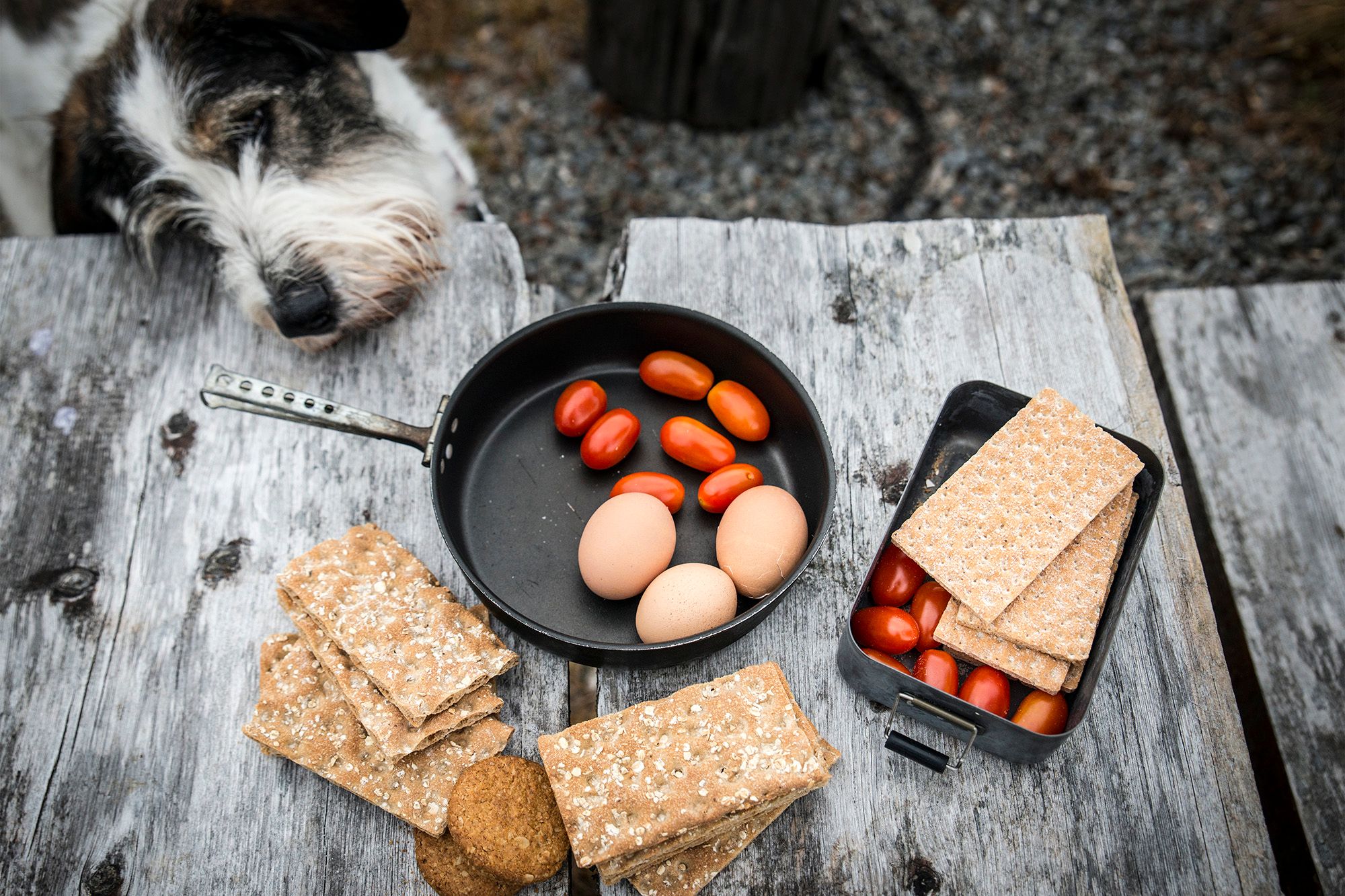 RPS Foto Eskil Roll mat