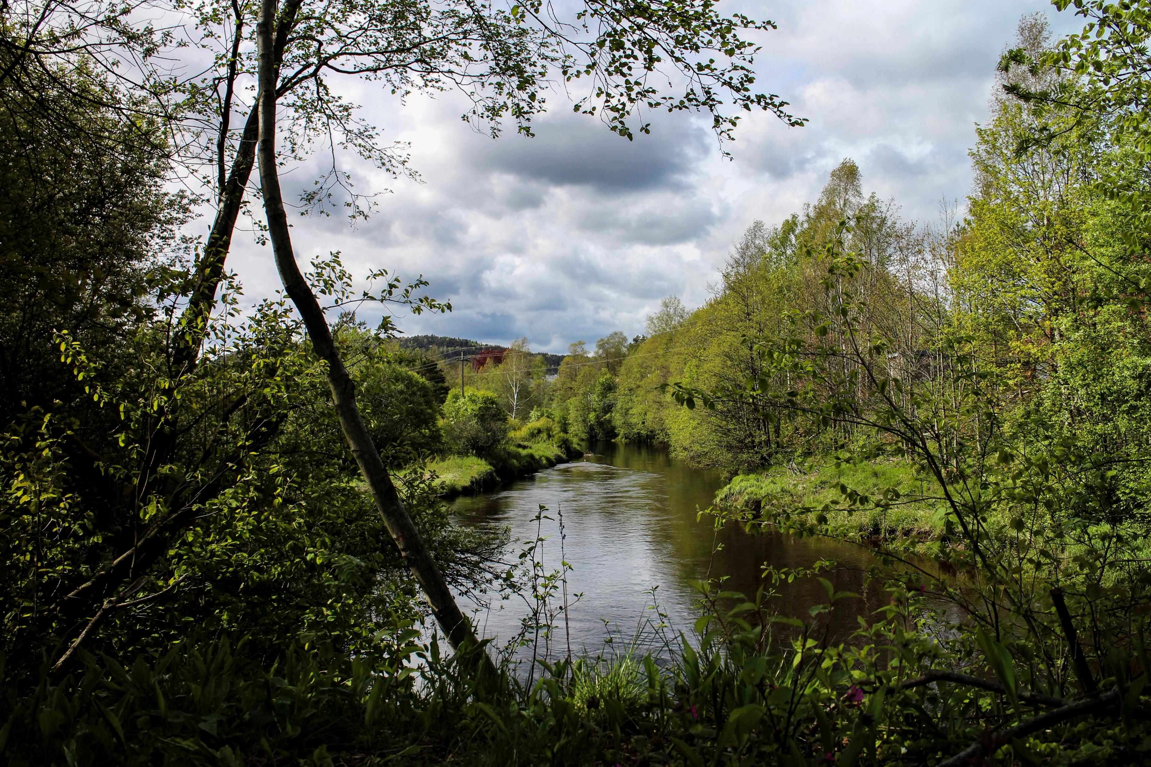 Prestneset ved Rismyr