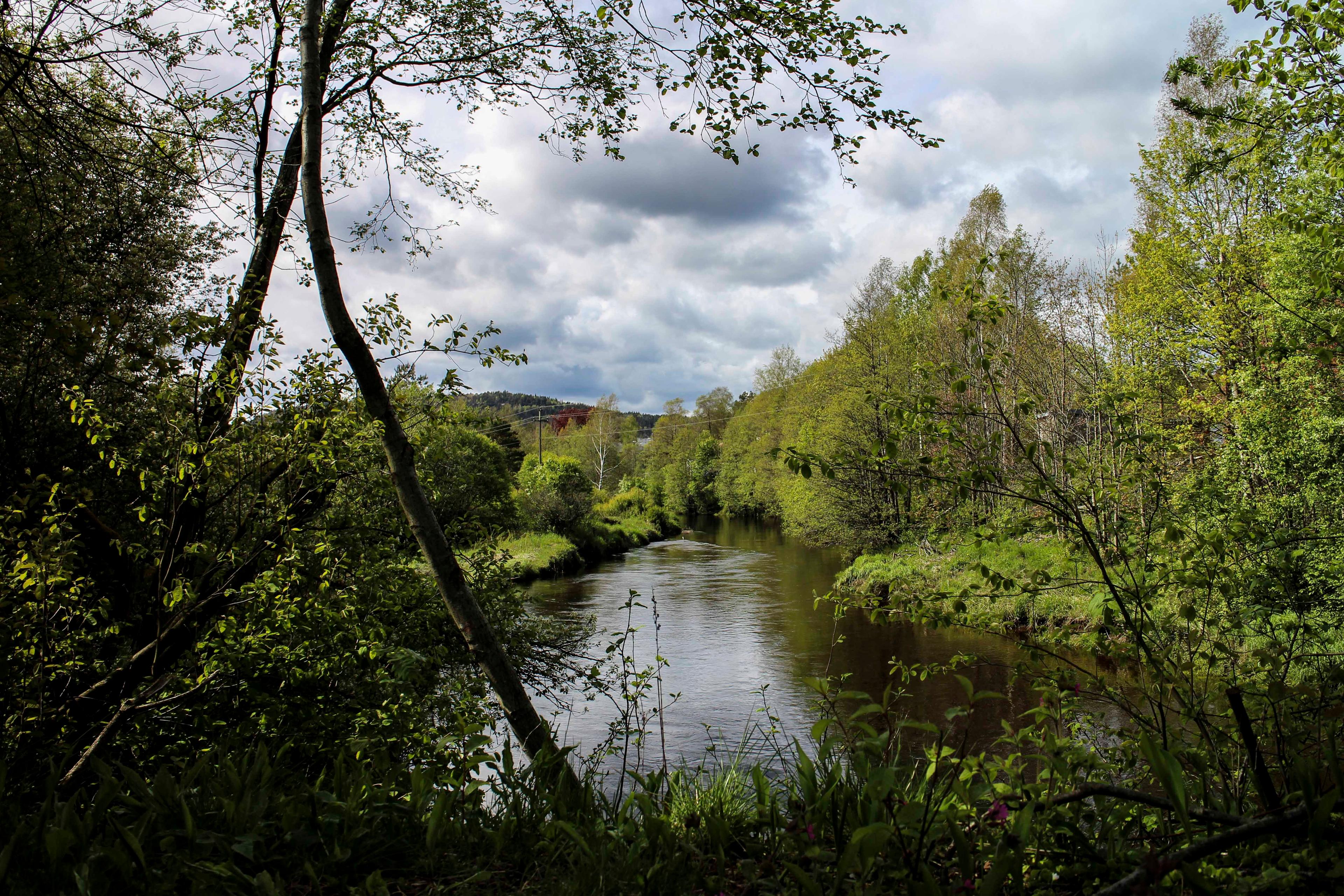 Prestneset ved Rismyr