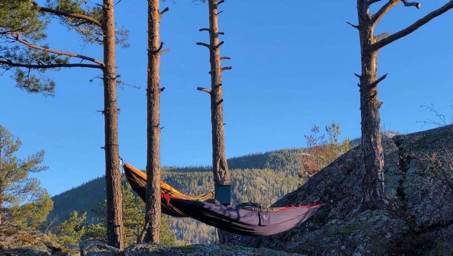 Vidsyn Midjås2