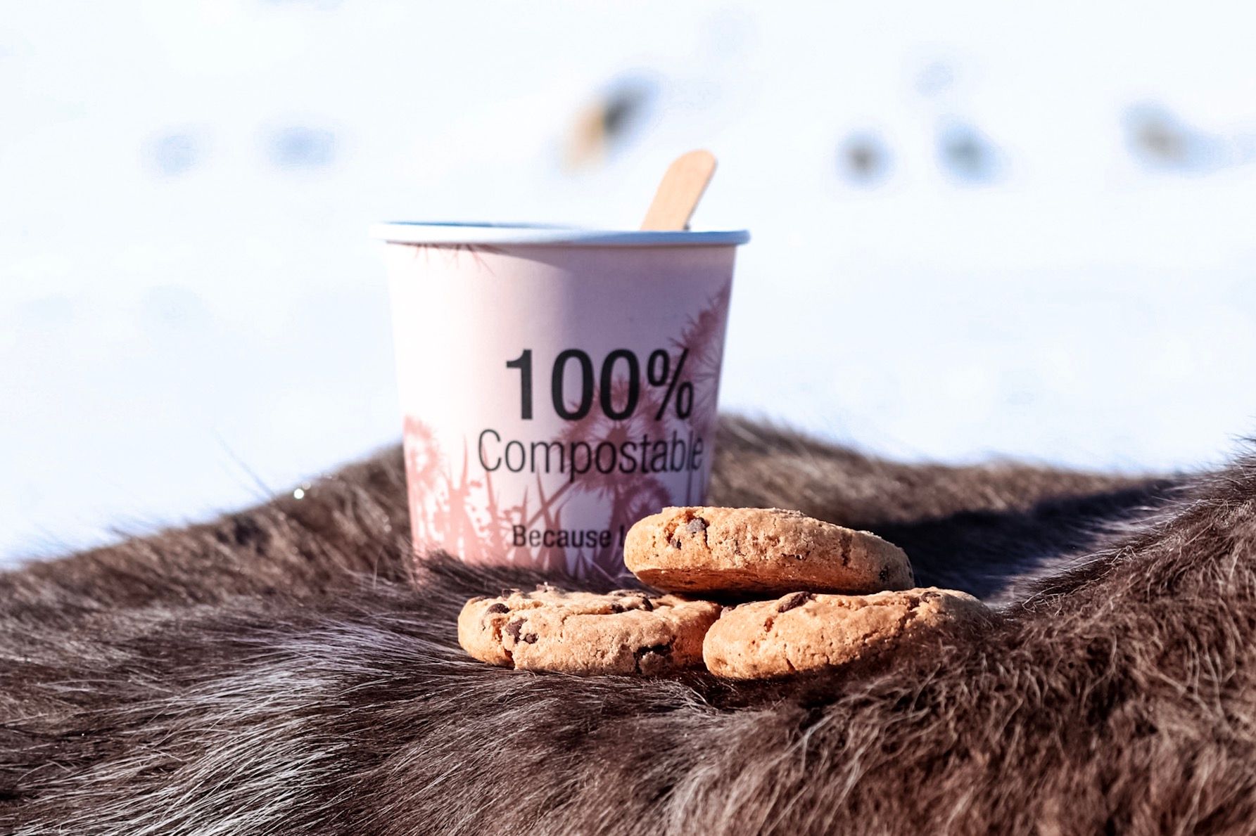 Coffee and cookies