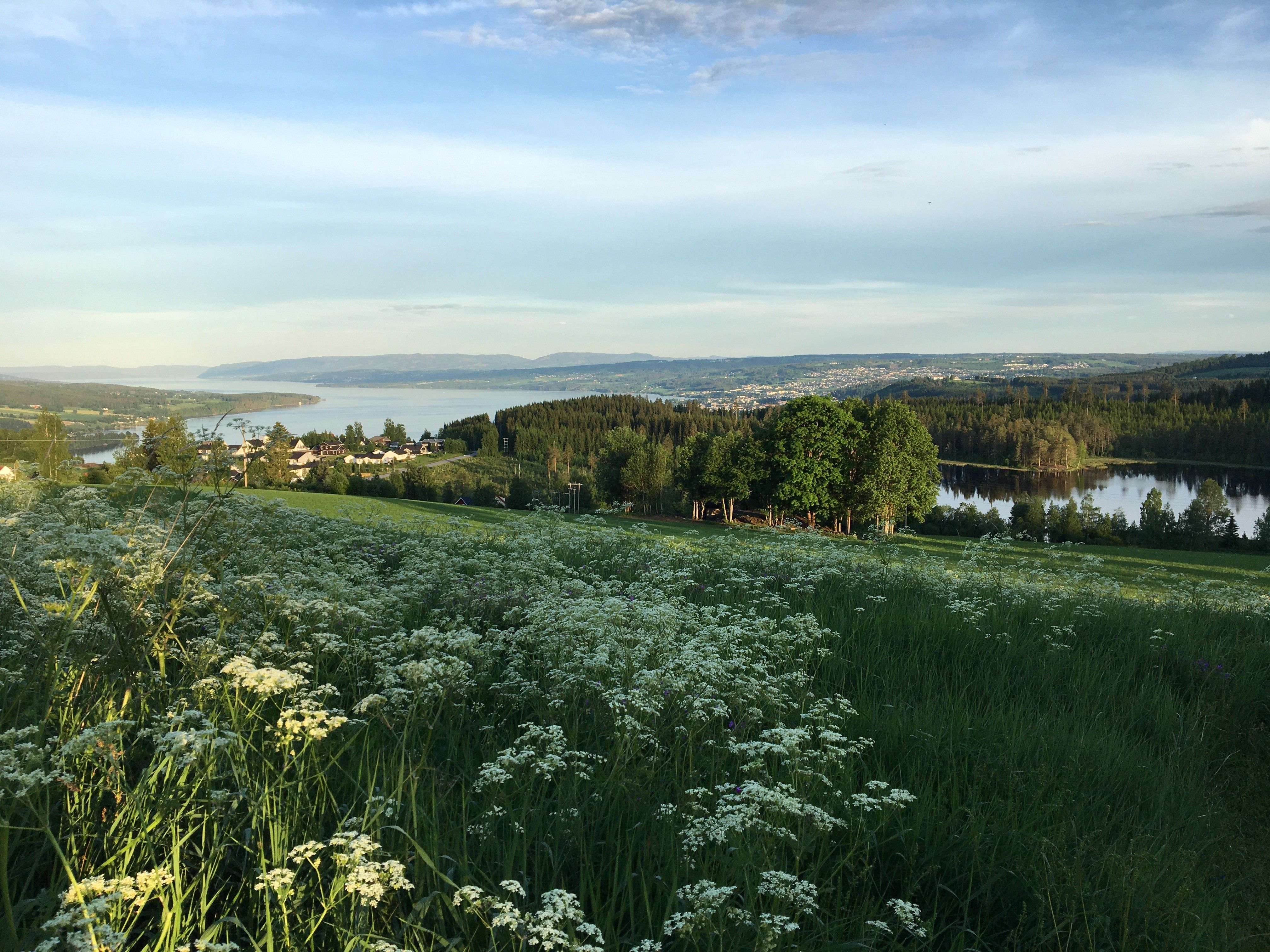 Utsikt fra Steinhytta på Kastad Gård