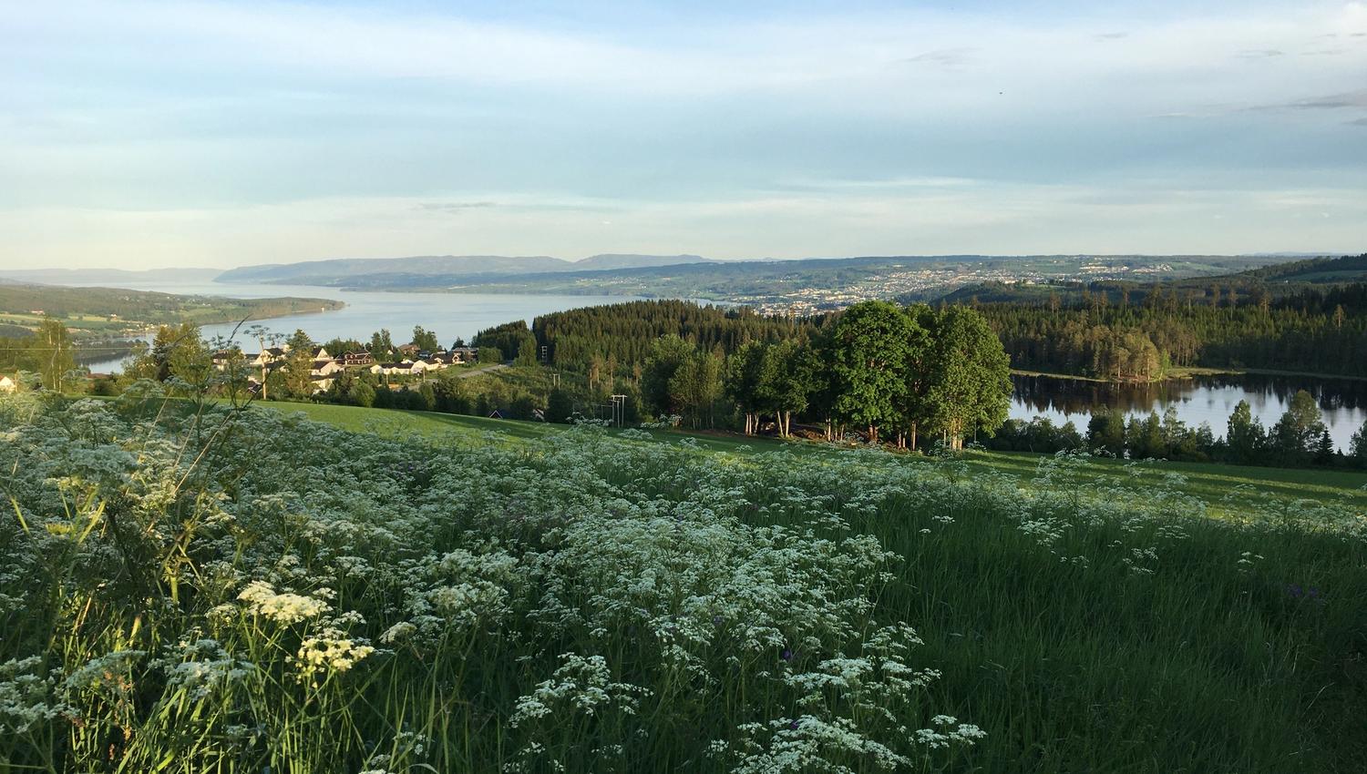 Utsikt fra Steinhytta på Kastad Gård