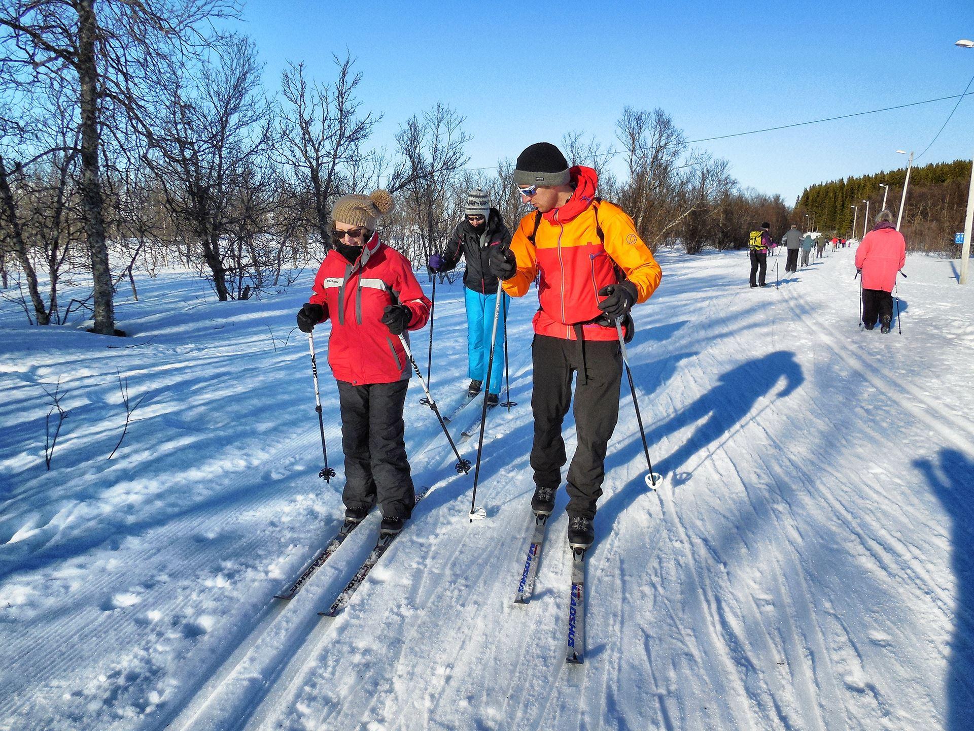 People cross-country skiing on a floodlit trail.