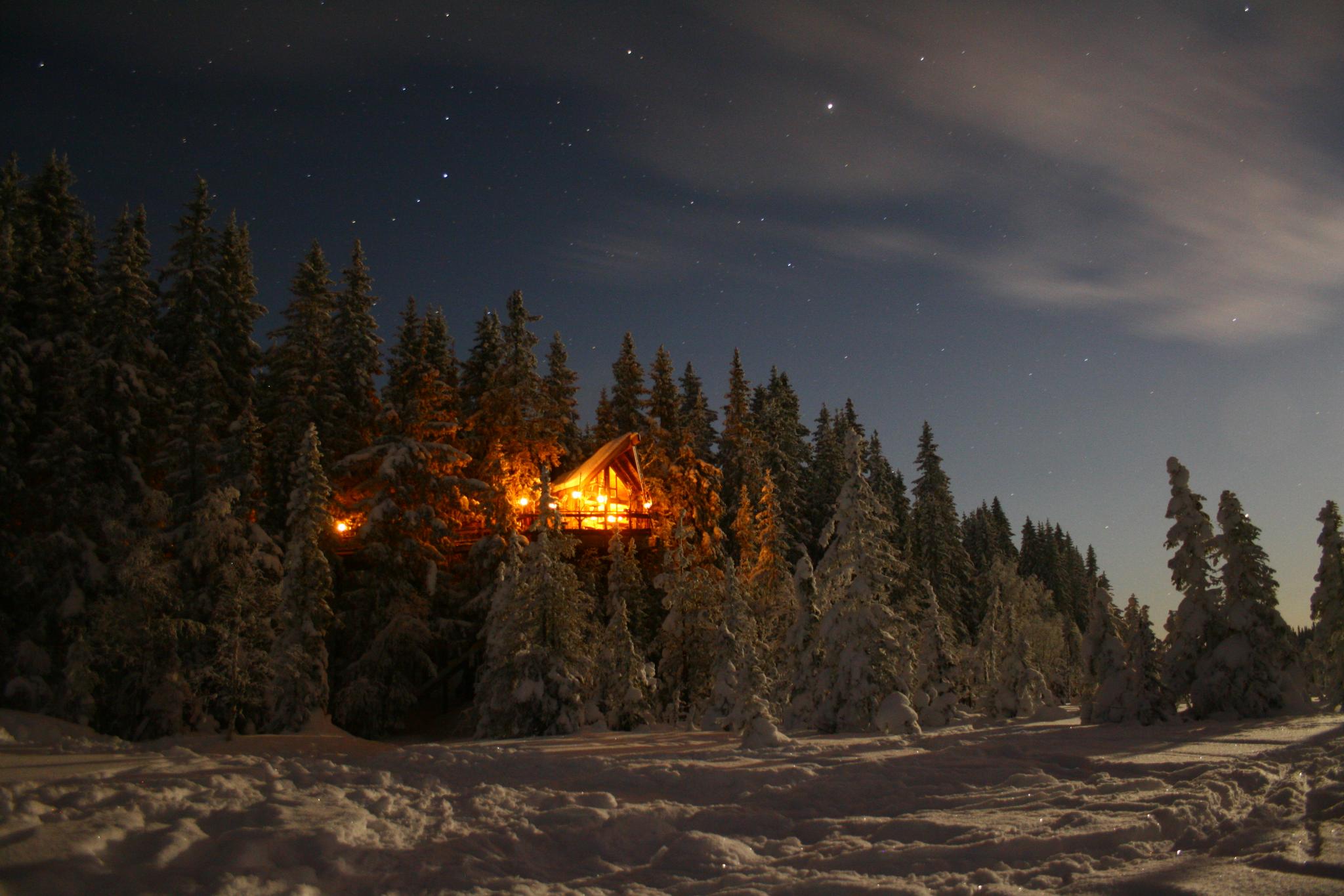 Tree top cabins in Brumunddal