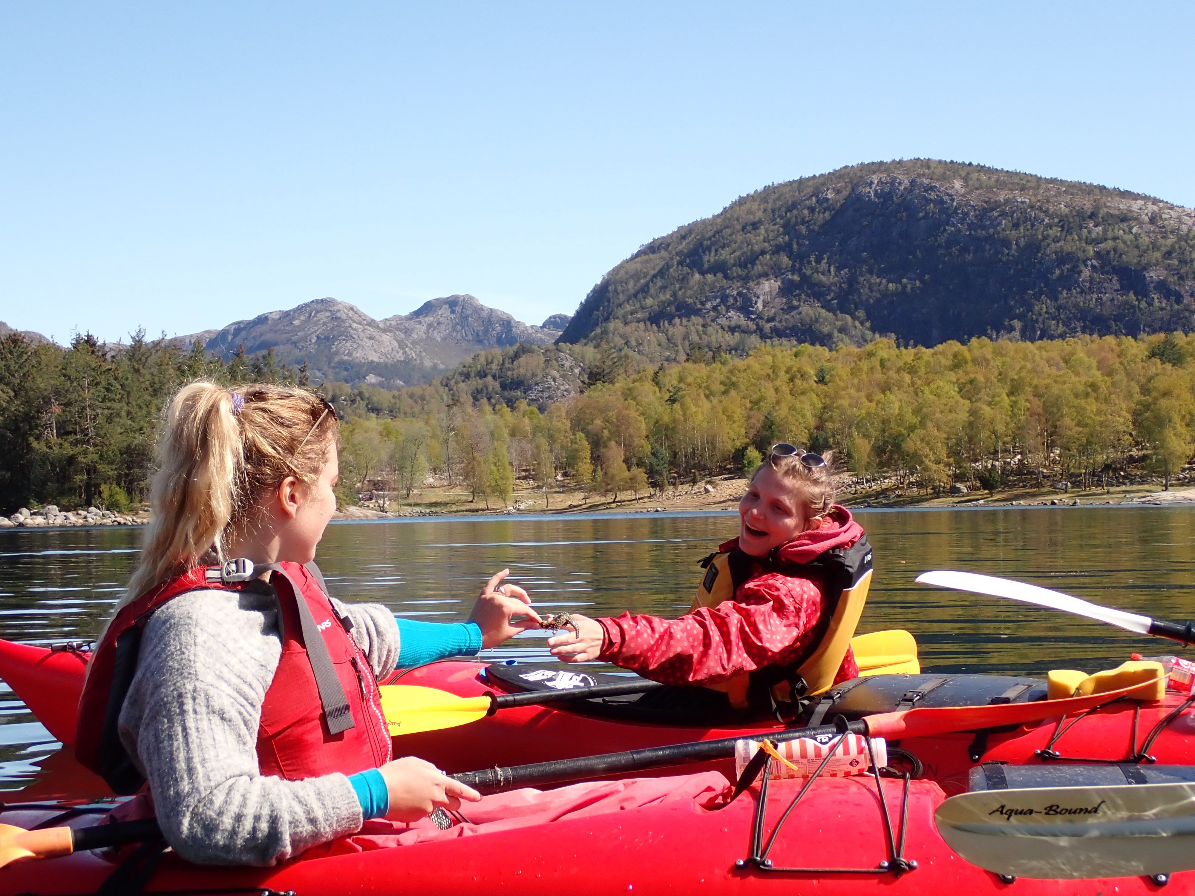 2 day guided kayaking tour in Oygarden
