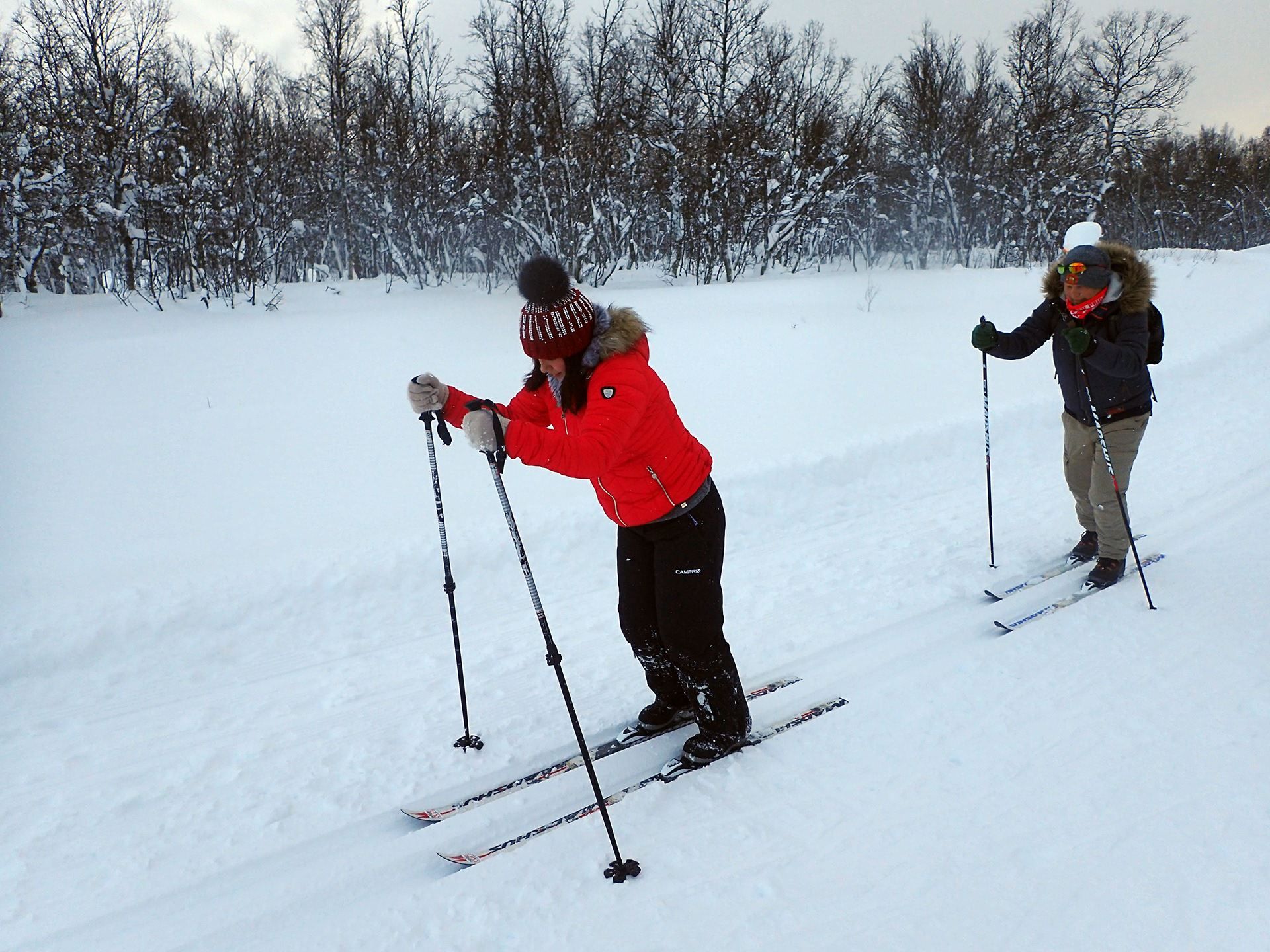 2 people cross-country skiing on a floodlit trail.