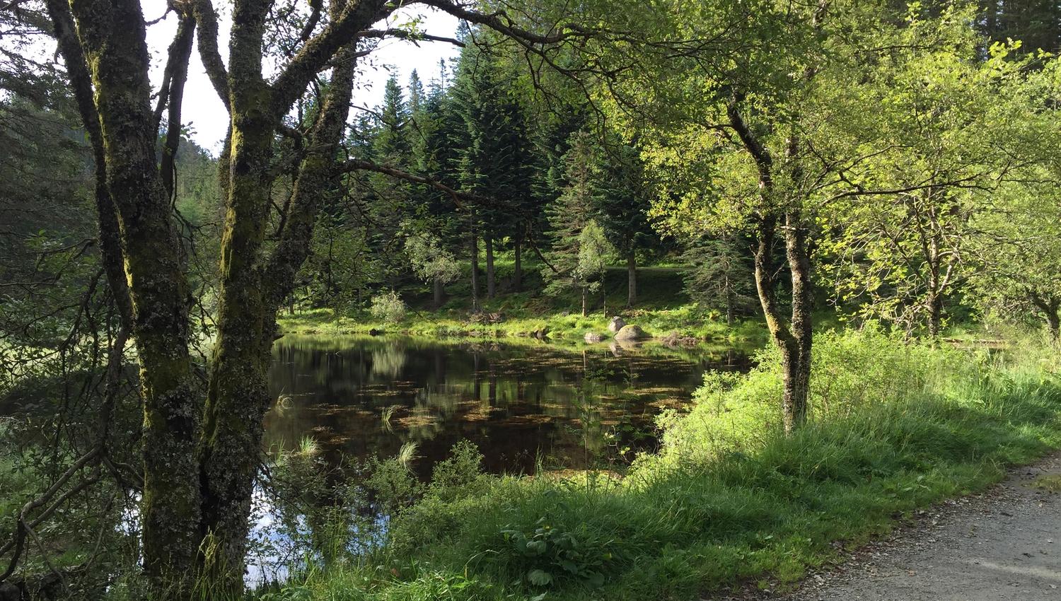 Stoltzekleiven