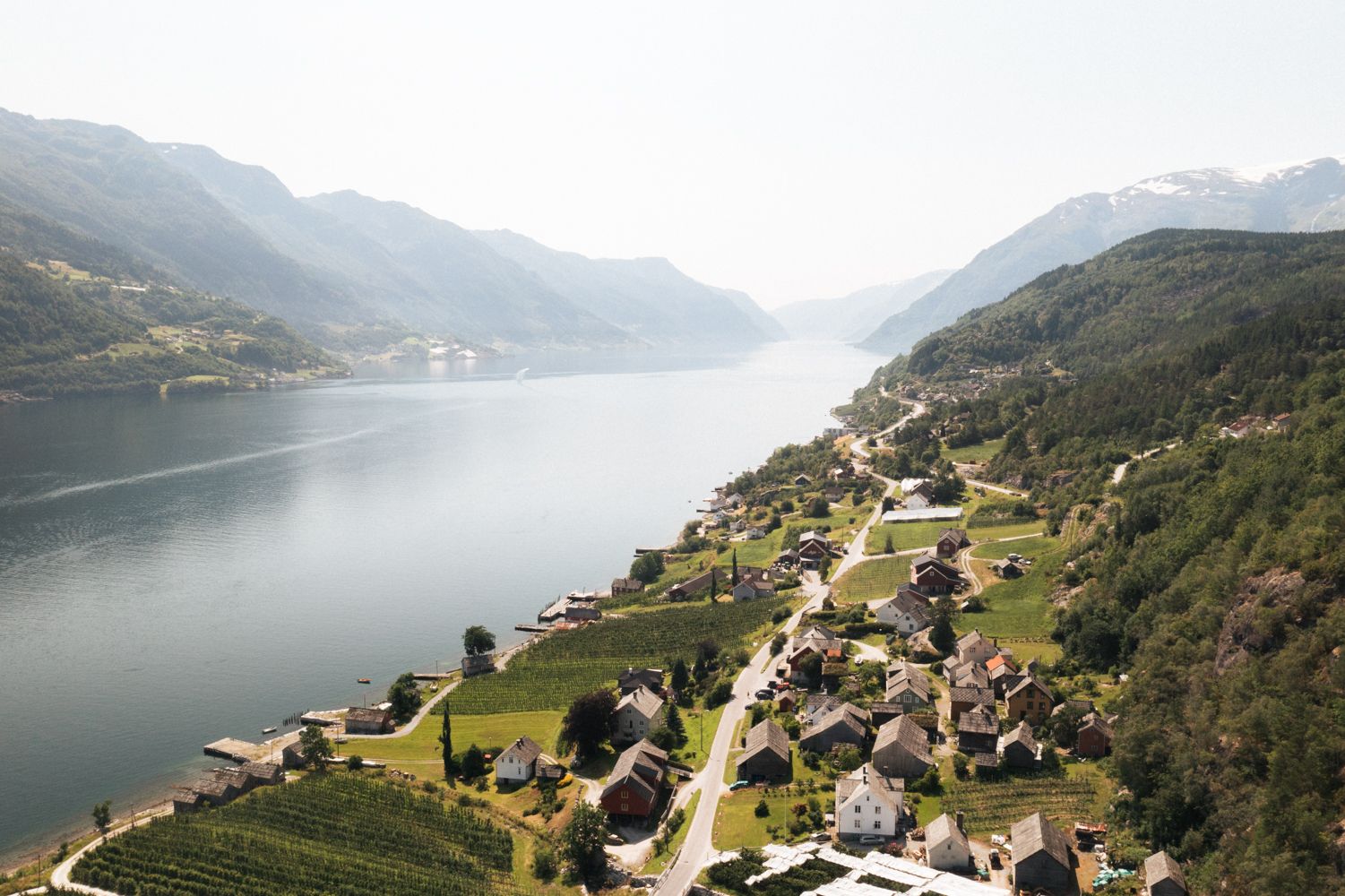 Oversiktsbilde over ein fjord i Hardanger med grøne åssider, små bygder og frukthager langs vannkanten.