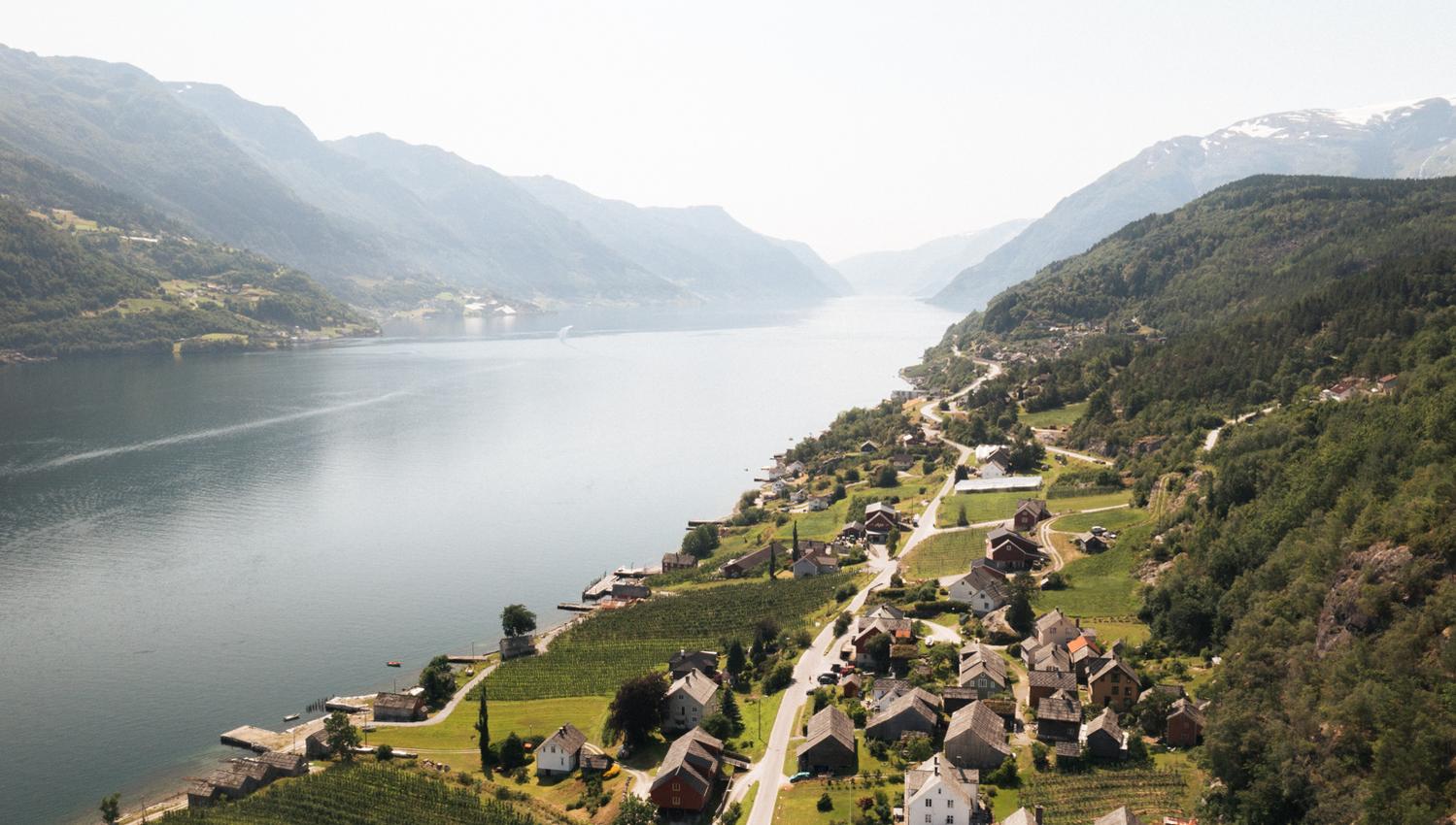 Oversiktsbilde over ein fjord i Hardanger med grøne åssider, små bygder og frukthager langs vannkanten.