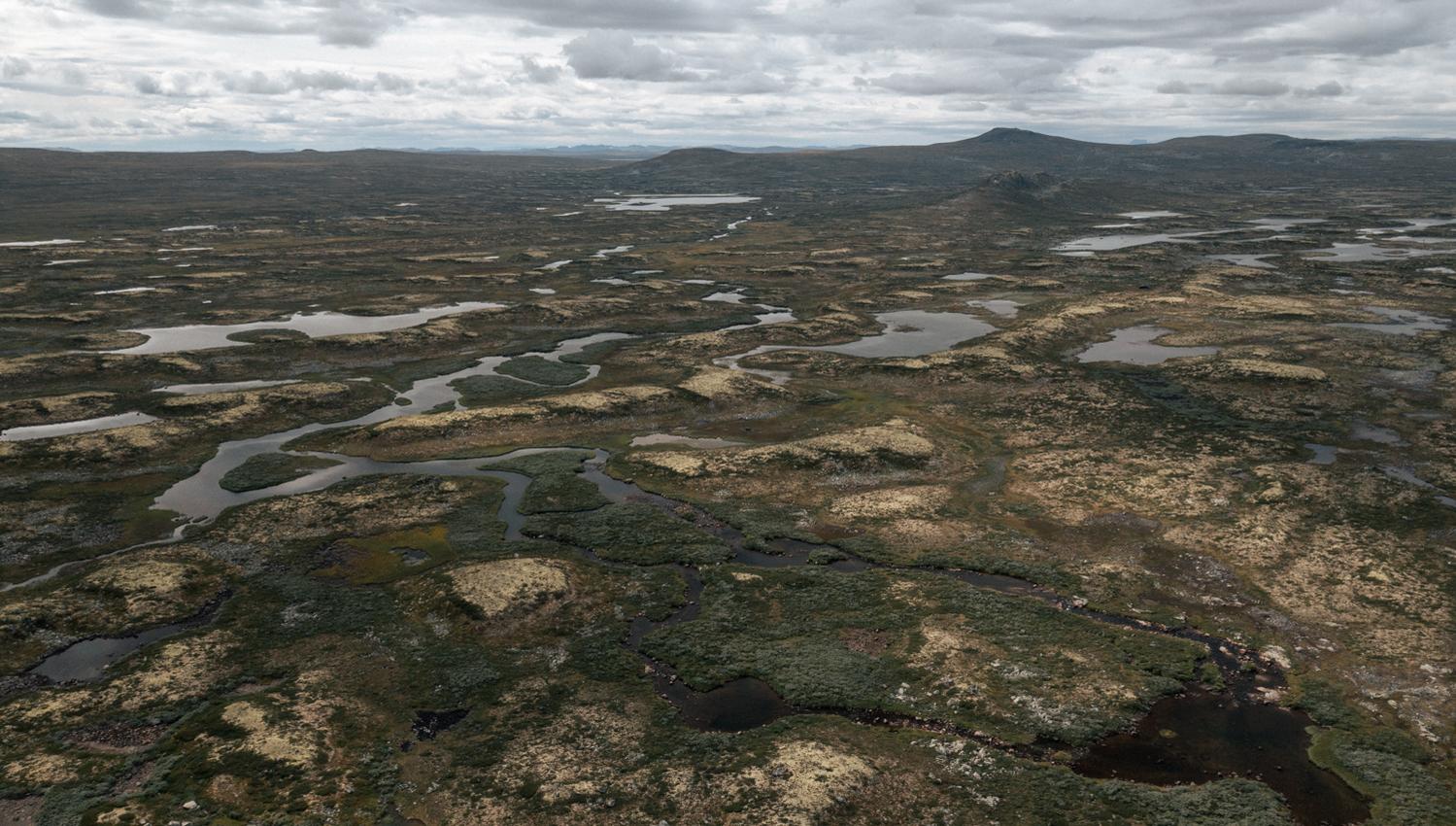 Hardangervidda x Yrjan Olsnes 2021-0633