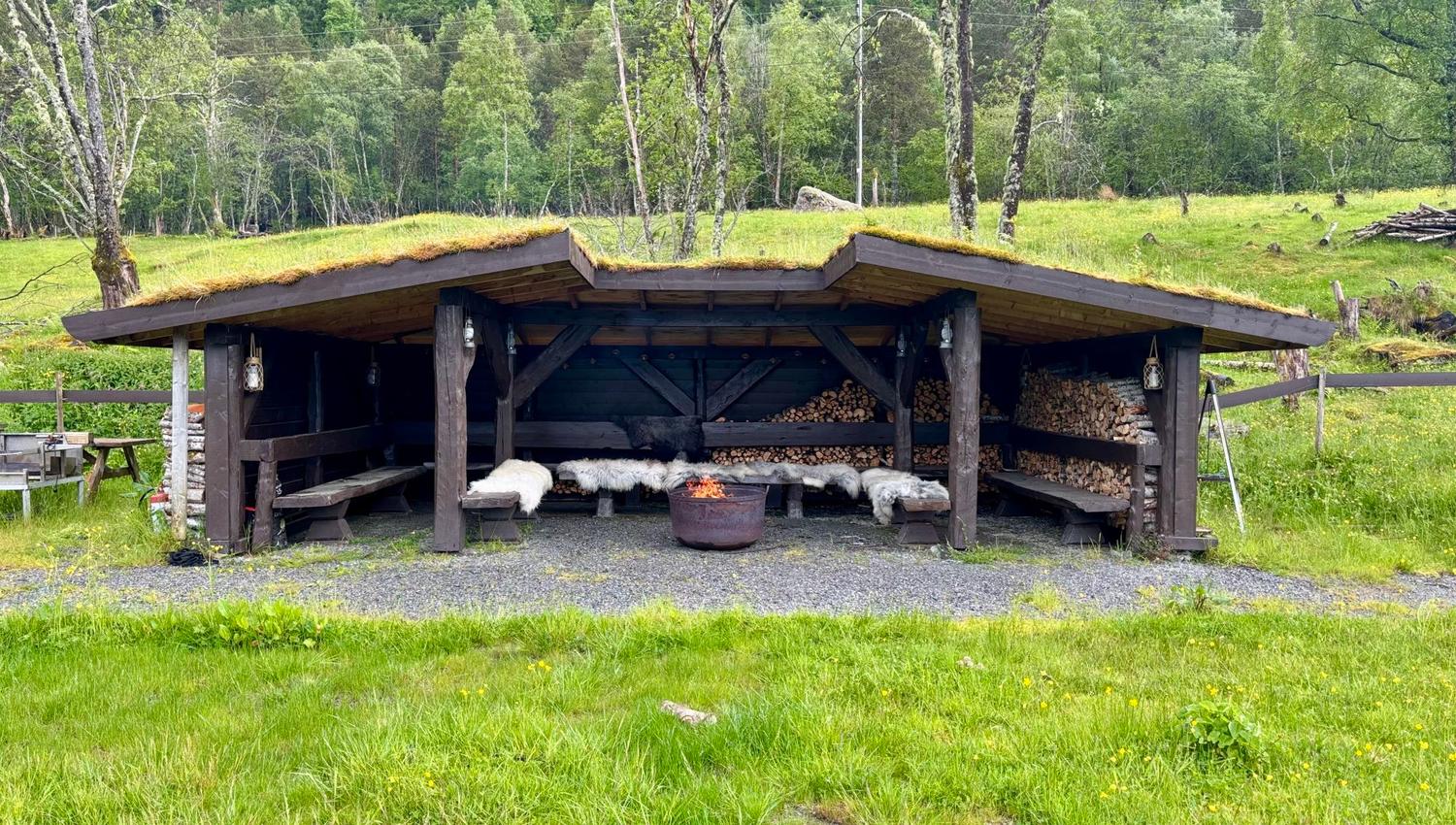 Nyt utsikten på villsauskinn fra gapahuken