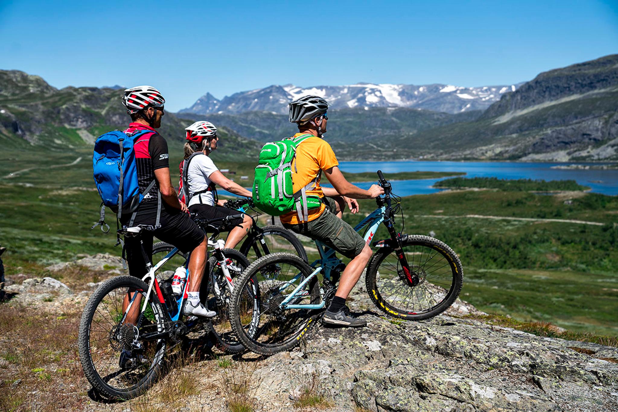 Mjølkevegen via Slettefjellet