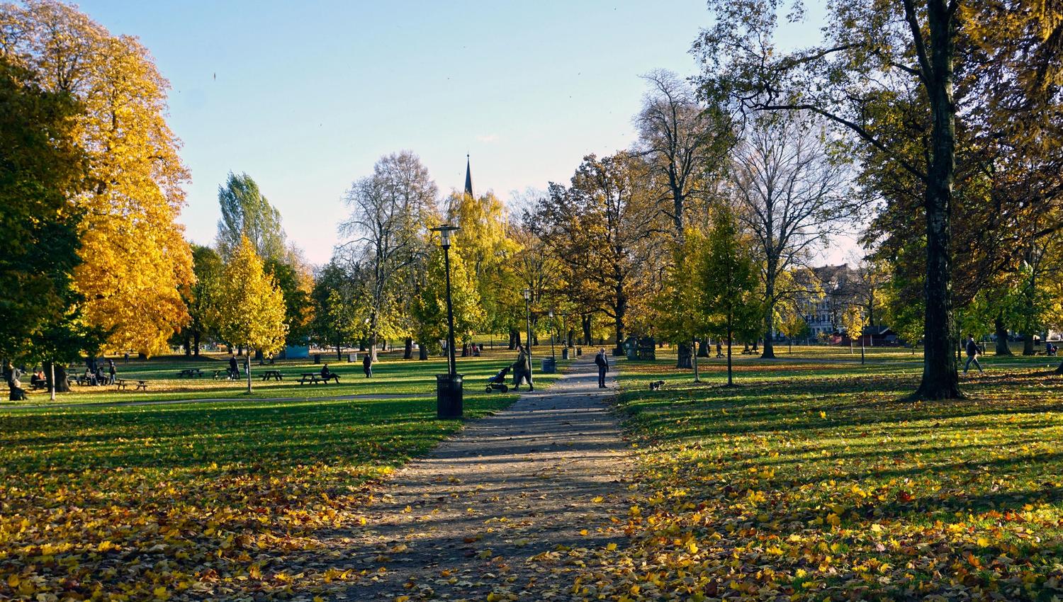 Sofienbergparken during fall