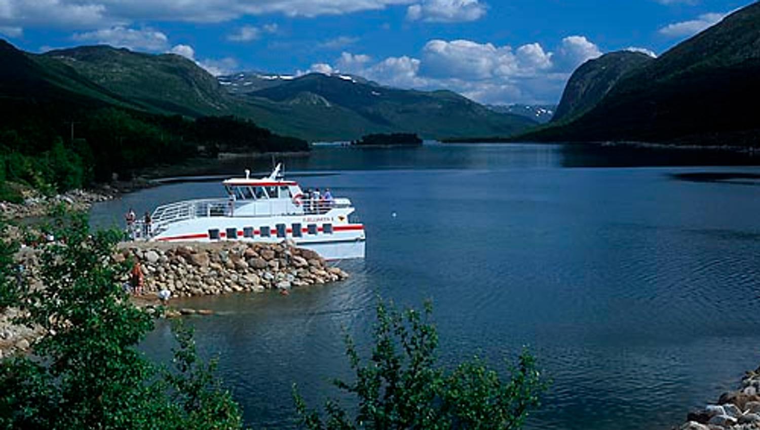 Fjellvåken i Kræbukti
