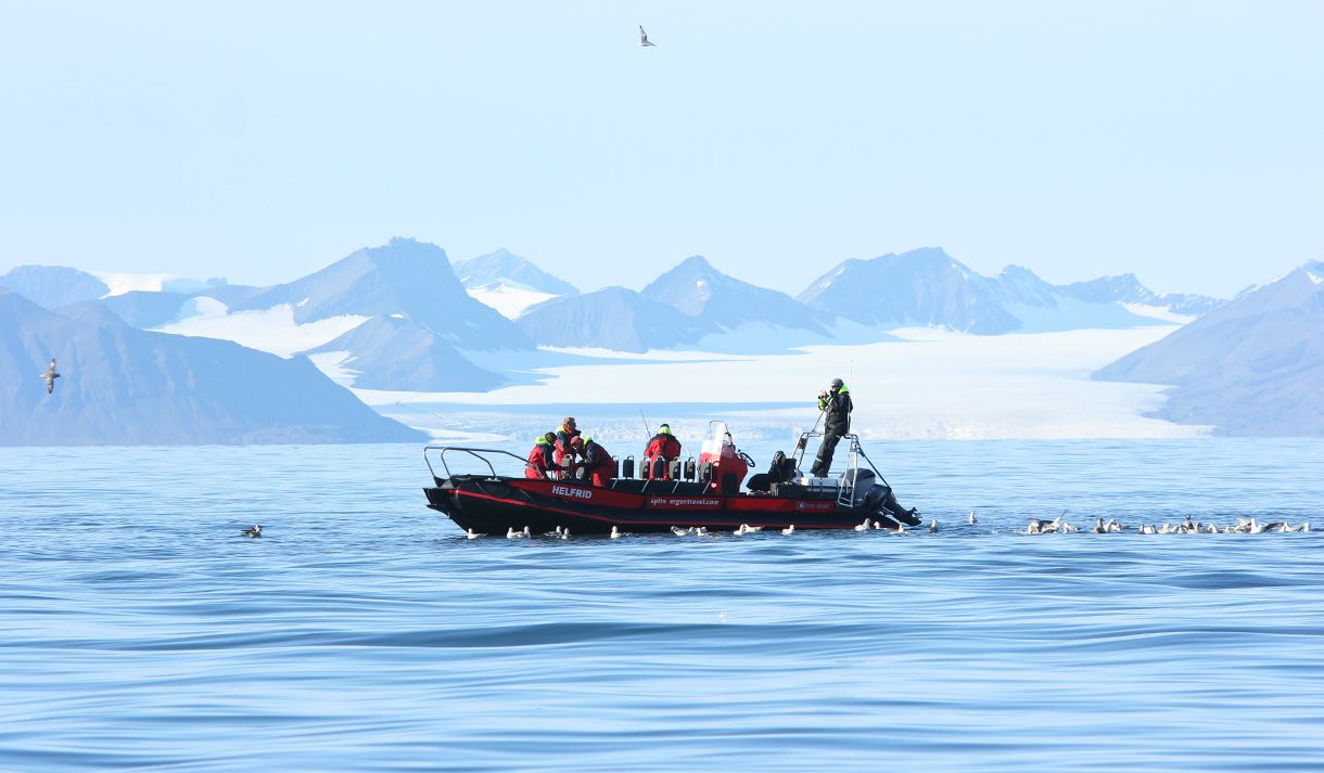 Persons fishing from a RIB boat on Isfjorden while surrounded by seagulls 