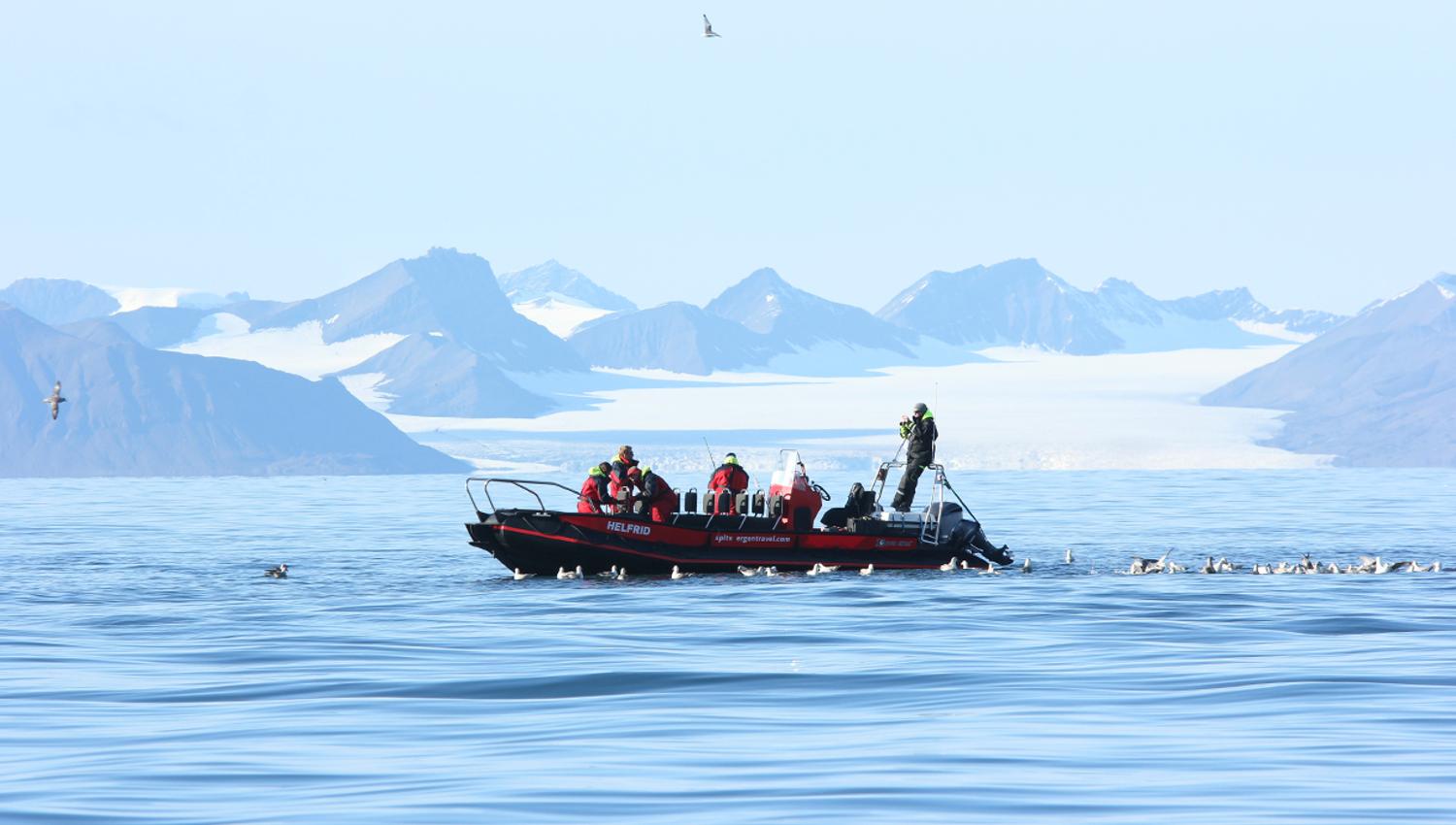 Persons fishing from a RIB boat on Isfjorden while surrounded by seagulls