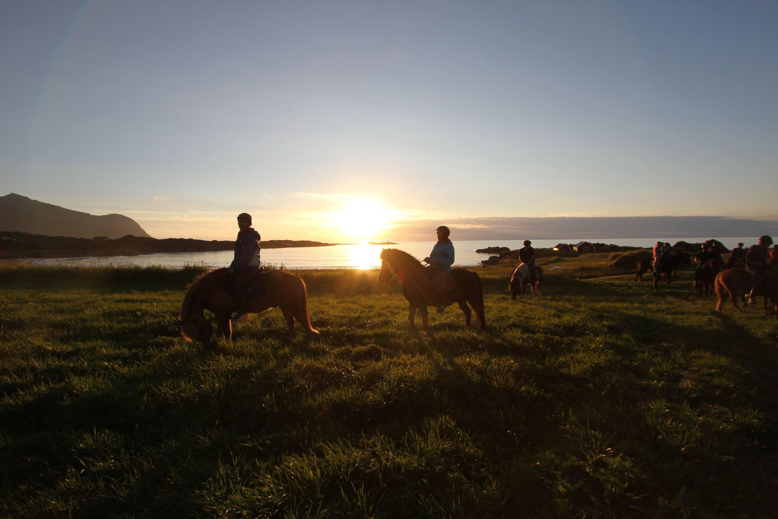 Lofoten by Horse