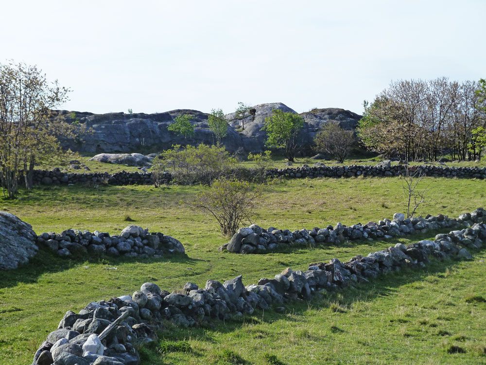 Steingjerder Stråholmen