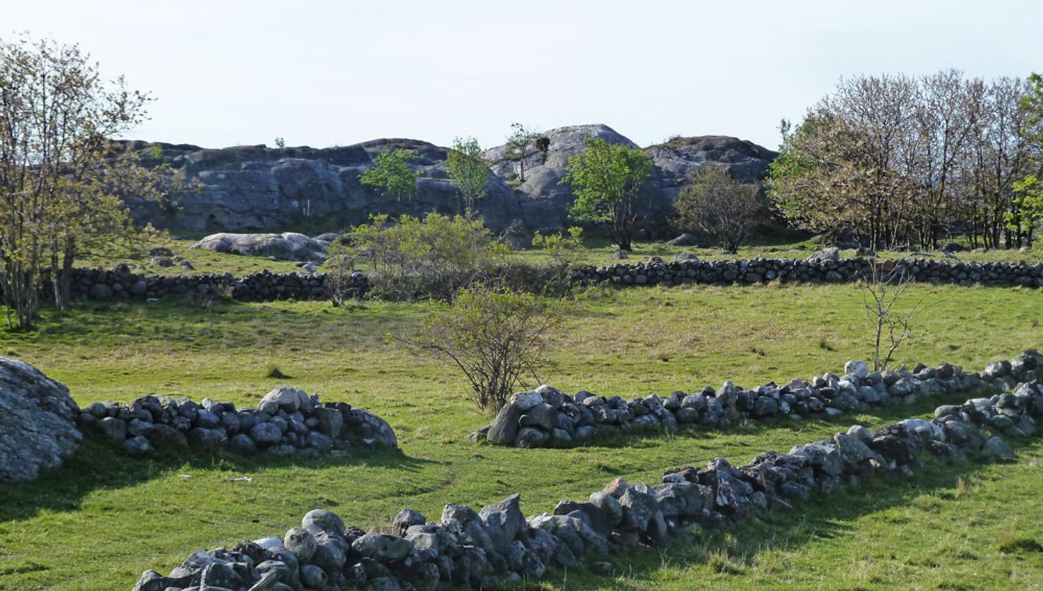 Steingjerder Stråholmen