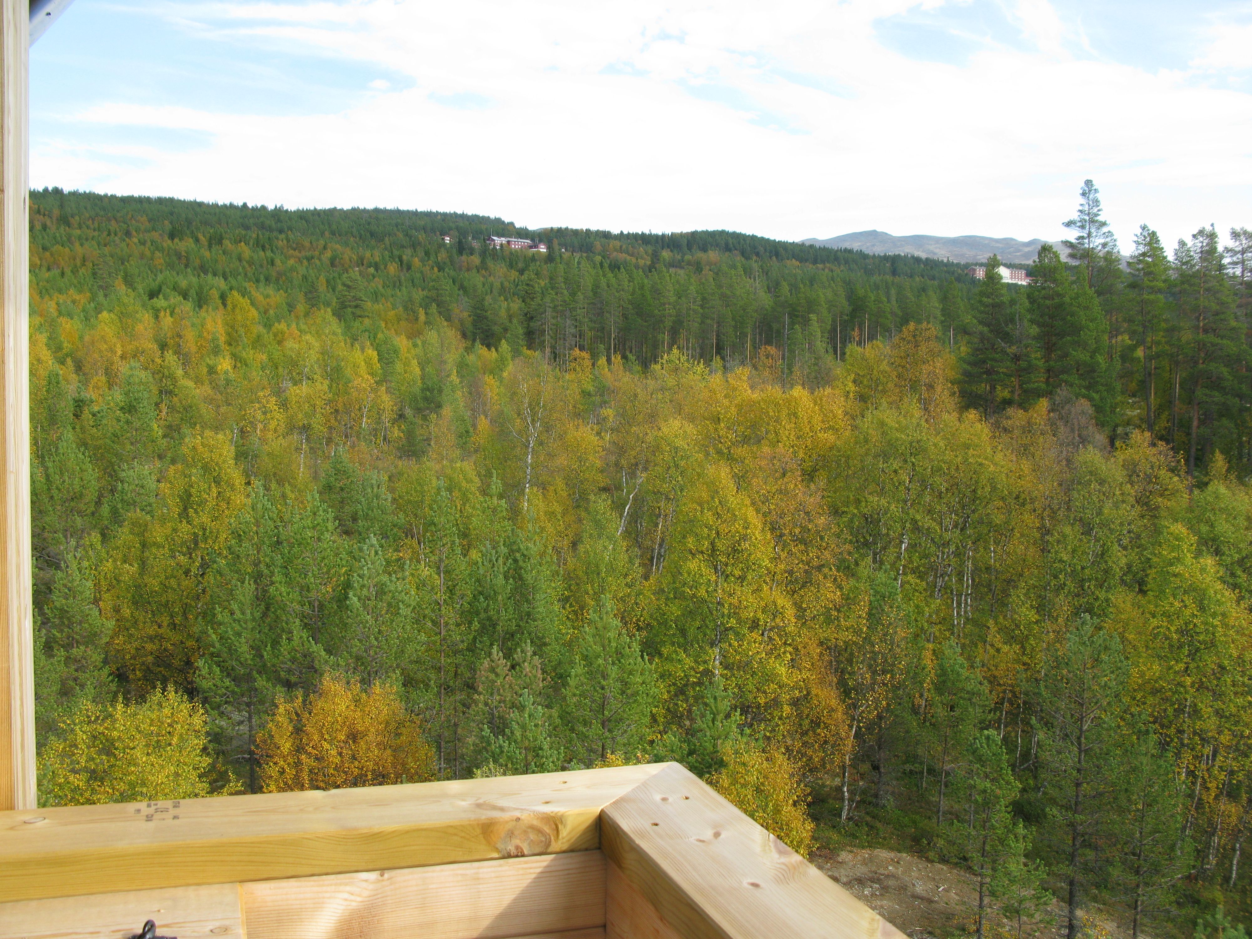 Nice view, The moose Tower in Espedalen