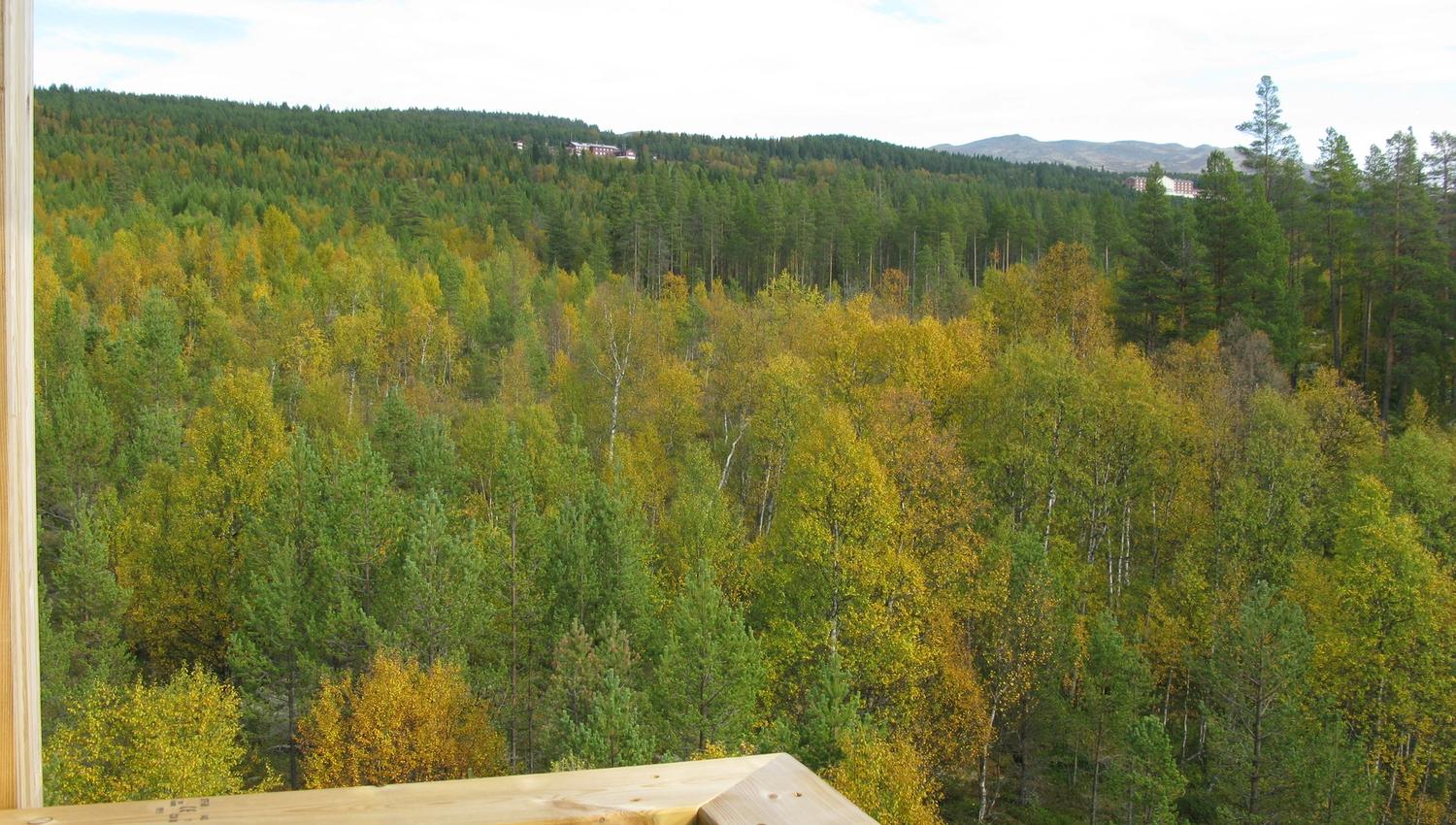Nice view, The moose Tower in Espedalen