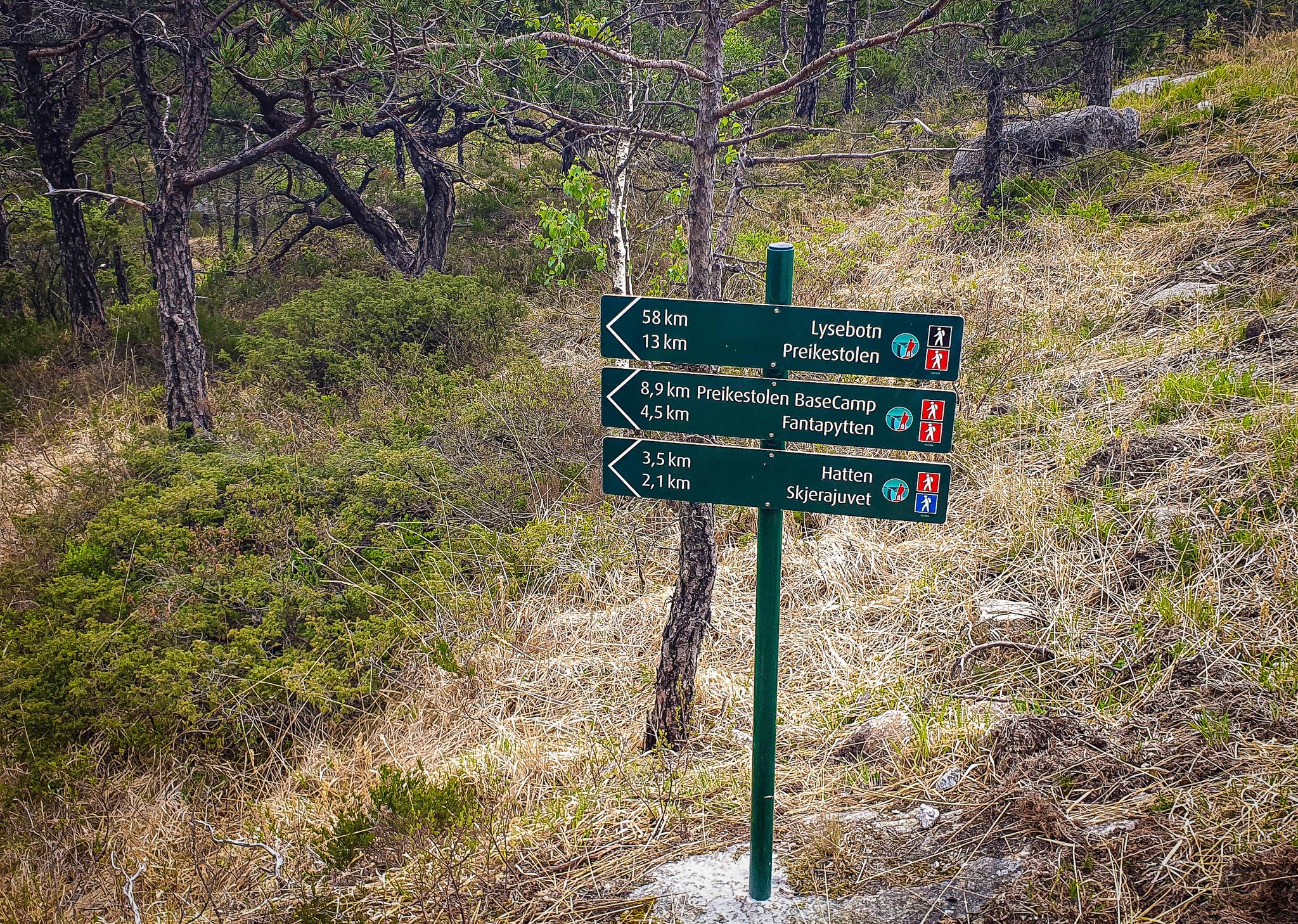 Lysefjorden panoramasti