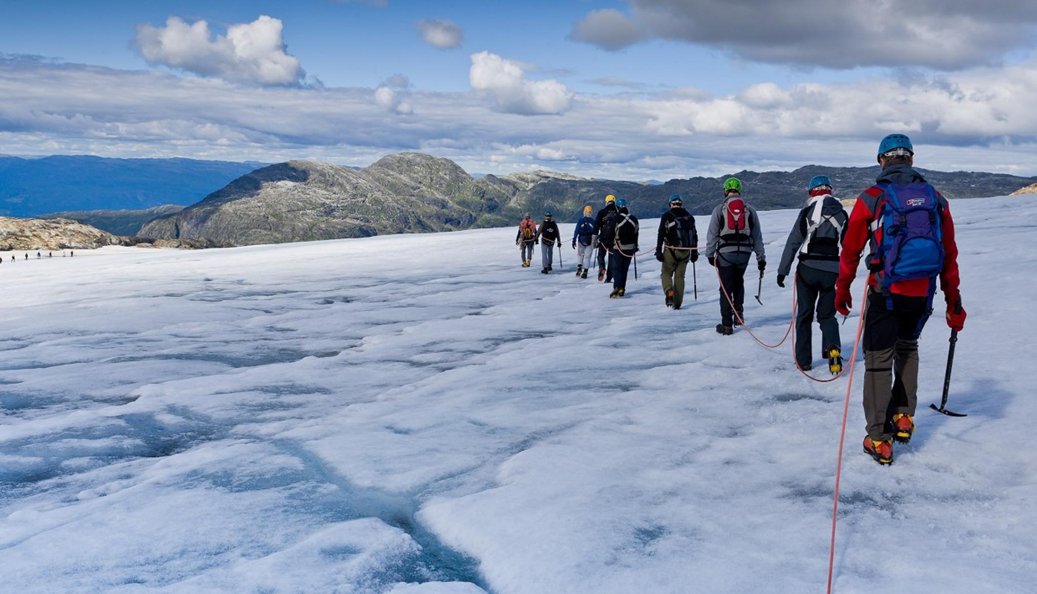 A group of hikers walking across the Folgefonna Glacier in Hardanger, led by a glacier guide with an ice axe and crampons.