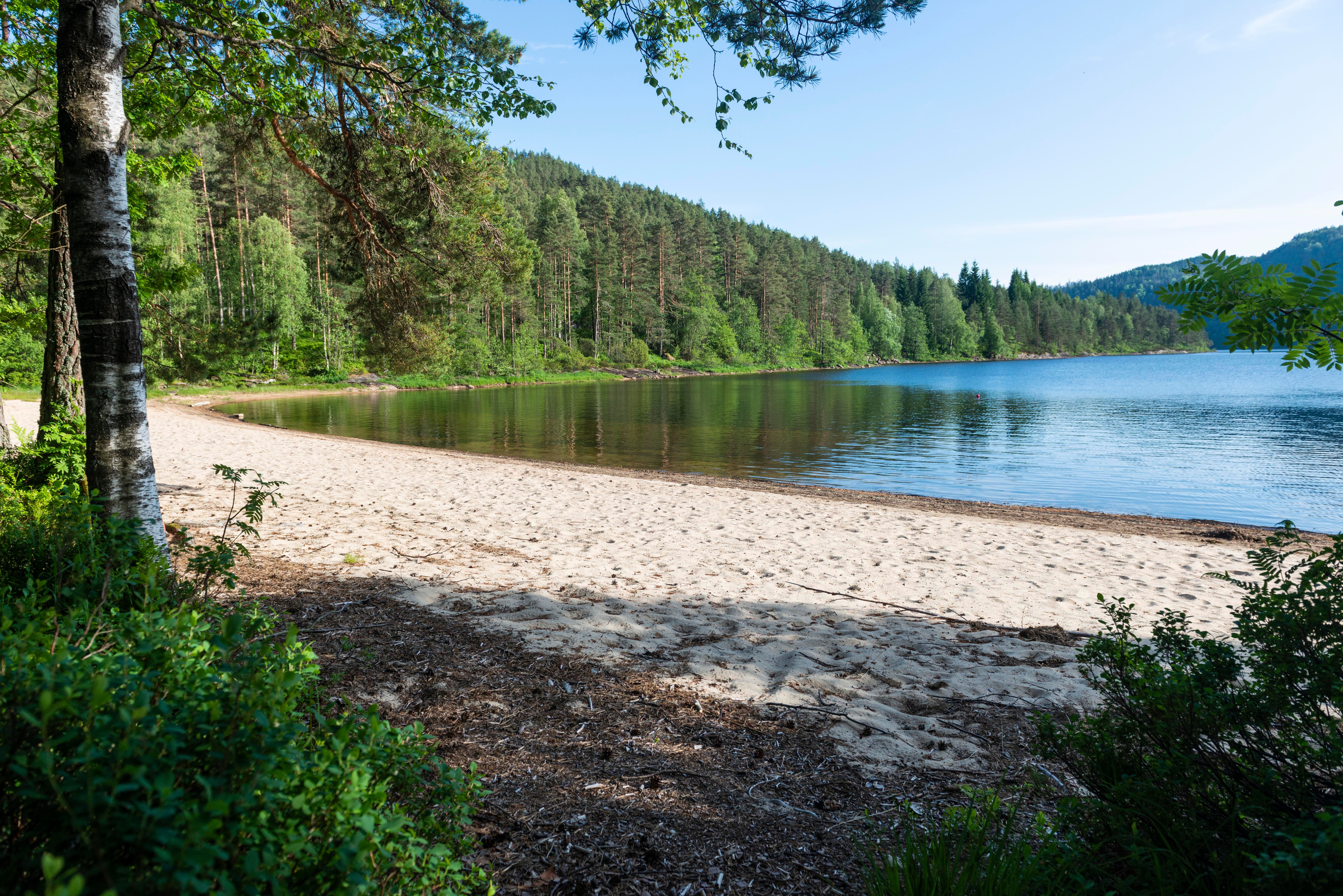 Friområdet Sundet ved Ytre Øydnevatn