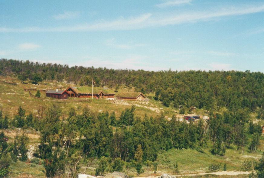 Hakkesetstølen sommer