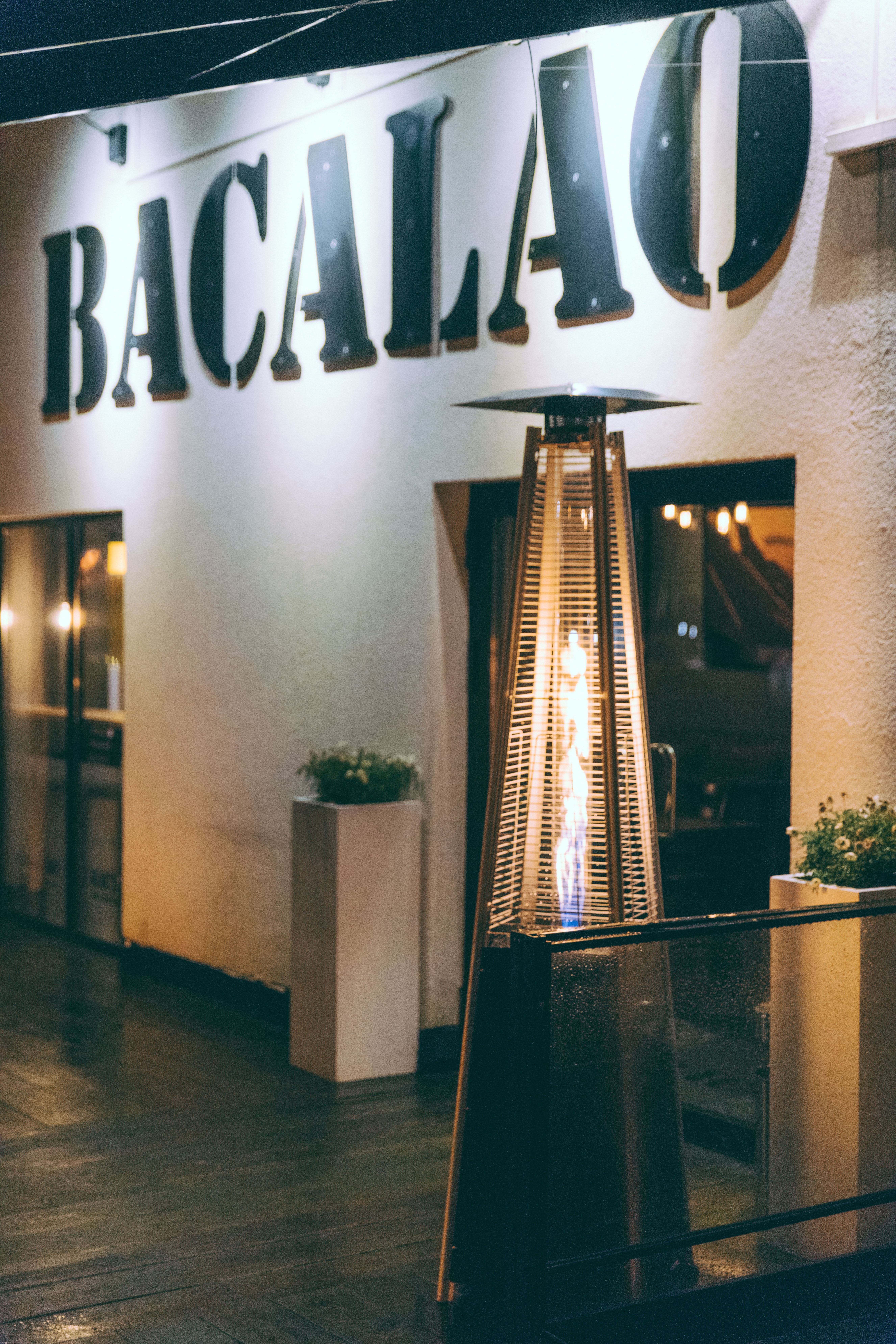 Bacalao 