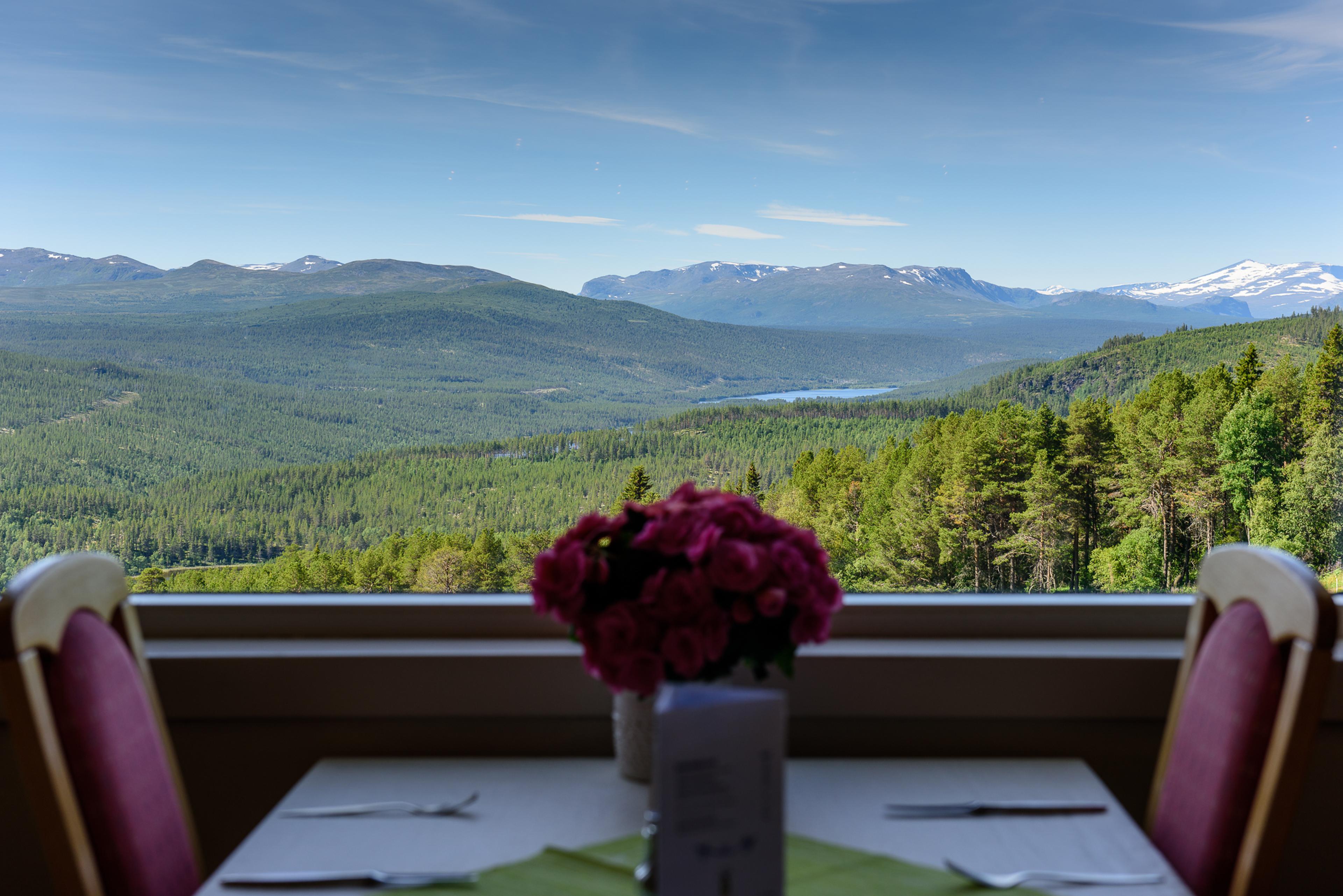 Dalseter Fjellhotell - utsikt