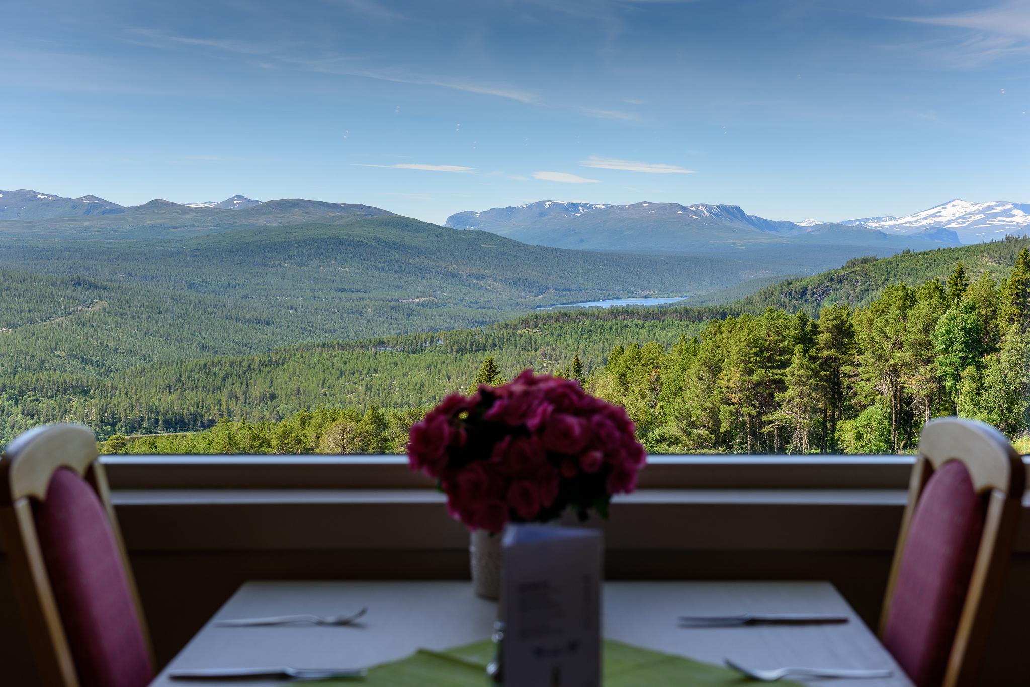 Dalseter Fjellhotell - utsikt
