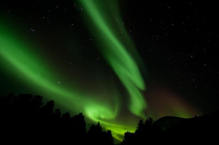 Nordlyssafari til Haldetoppen- Turgleder