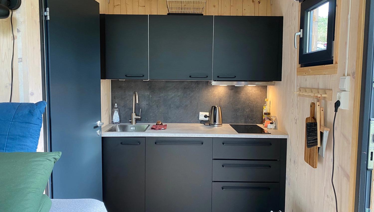 Modern kitchen in the cabin with black cabinet doors and wooden walls.