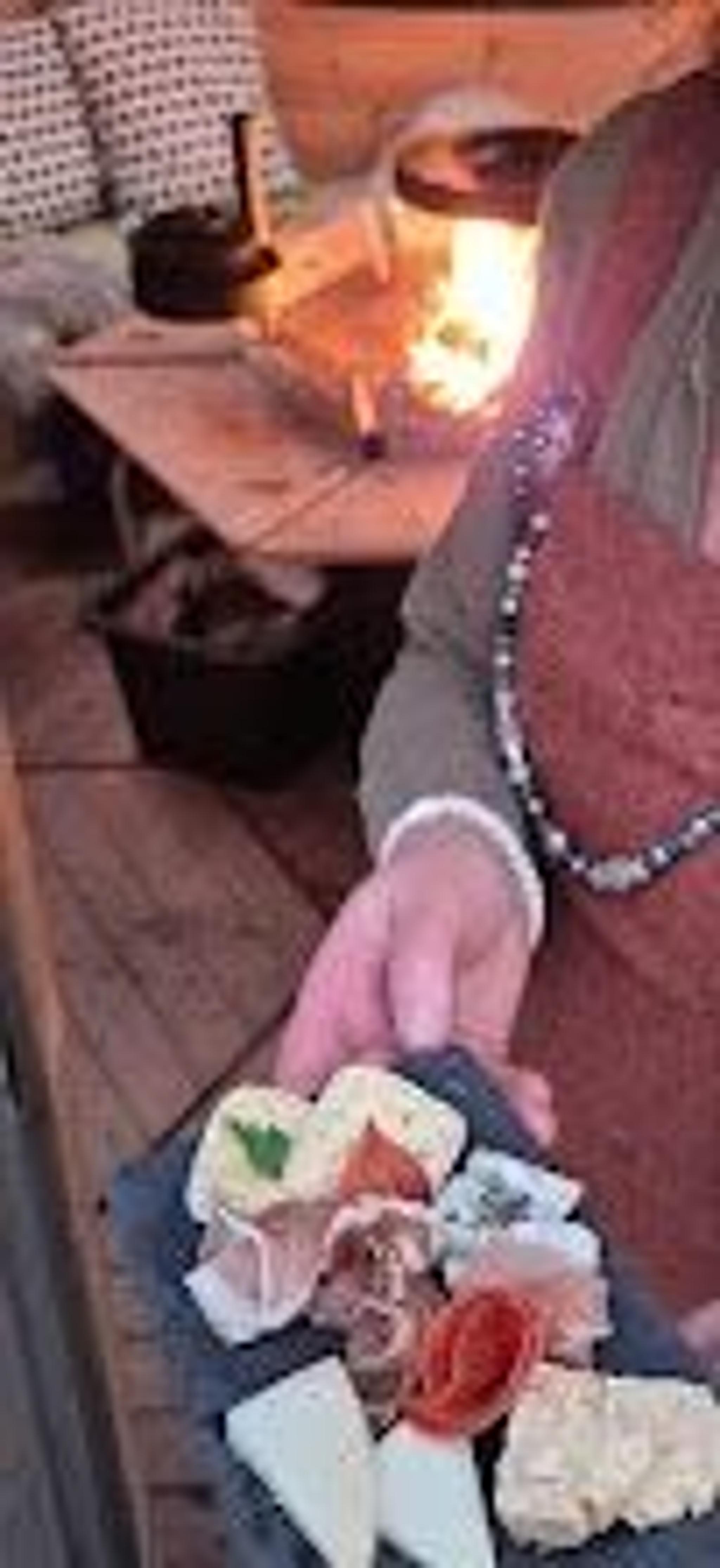 Farmers dinner - Homemade food and viking sheep