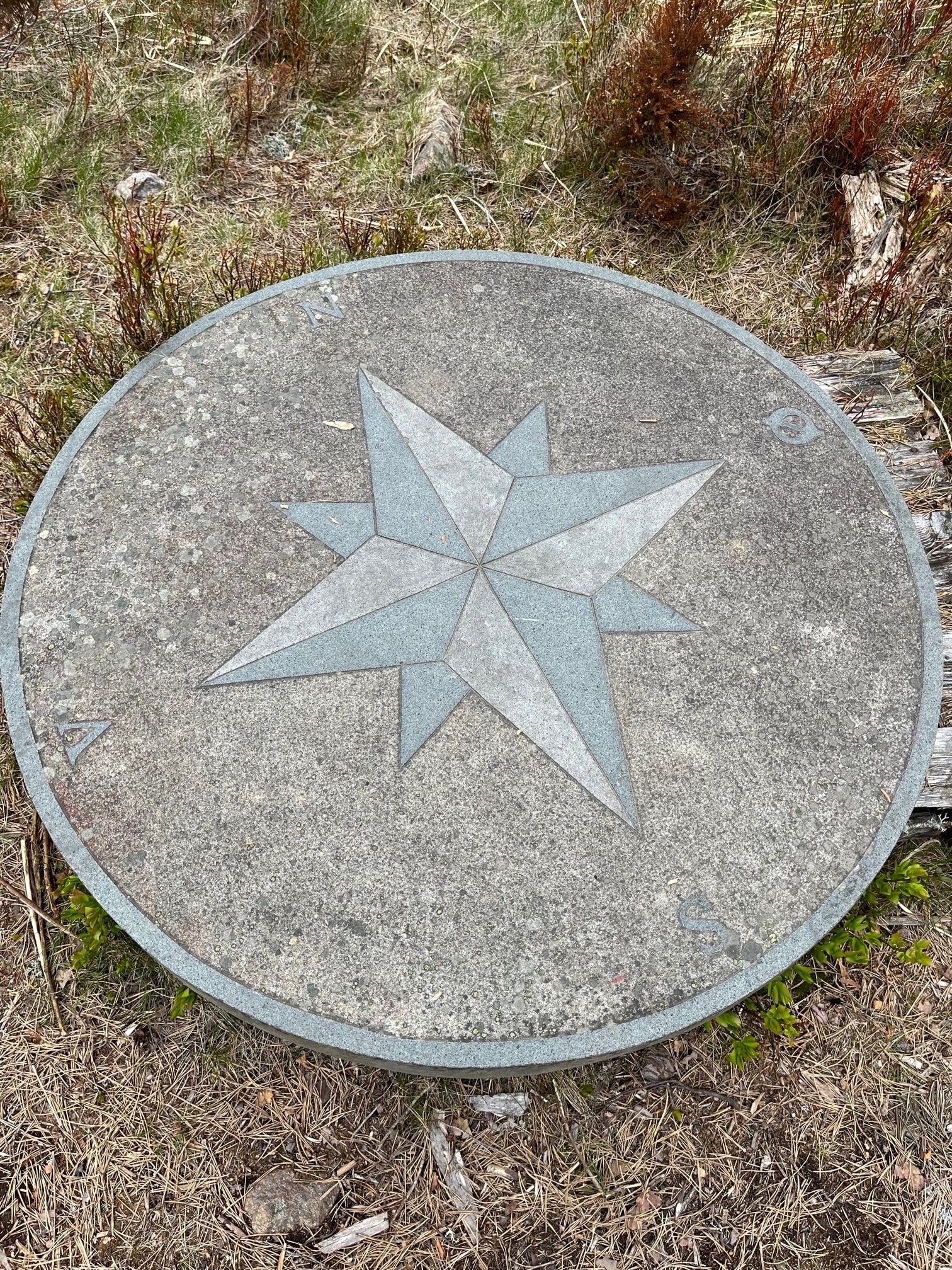 stjerne