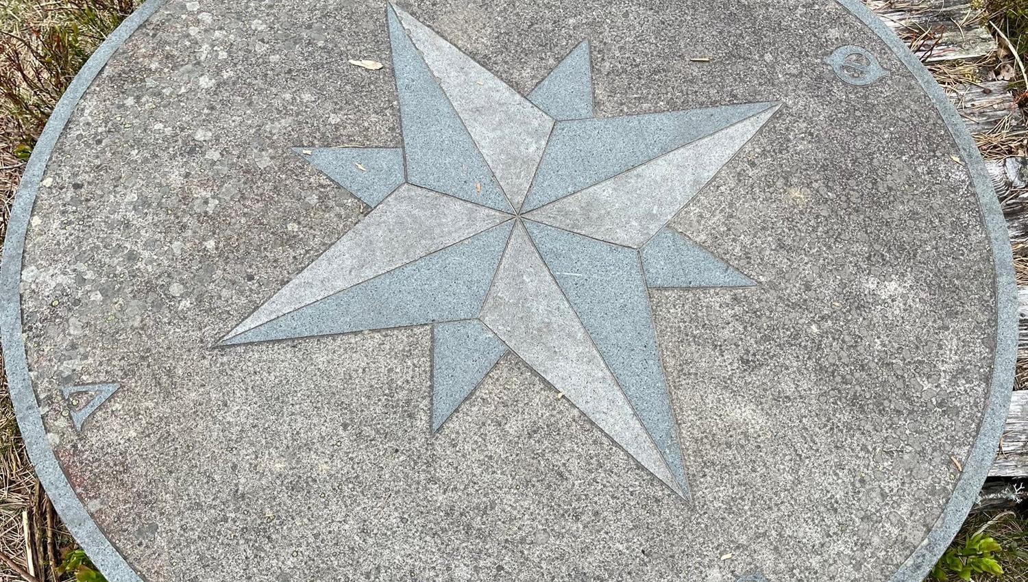 stjerne