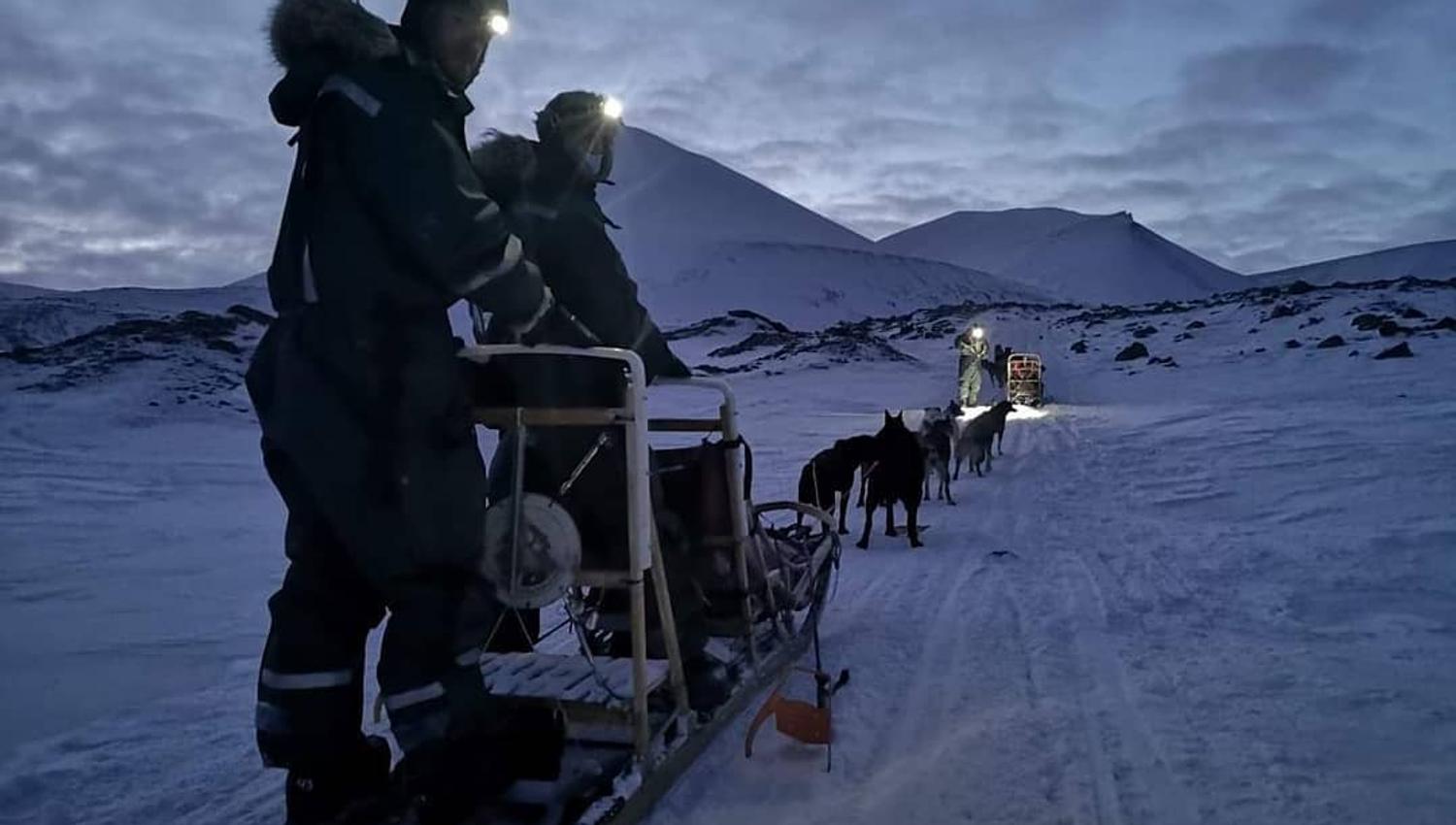 To personer på en hundeslede som ser bak mot kameraet