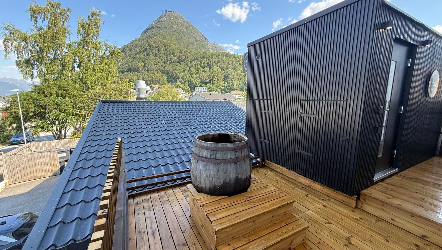 Roa sauna med fjellutsikt