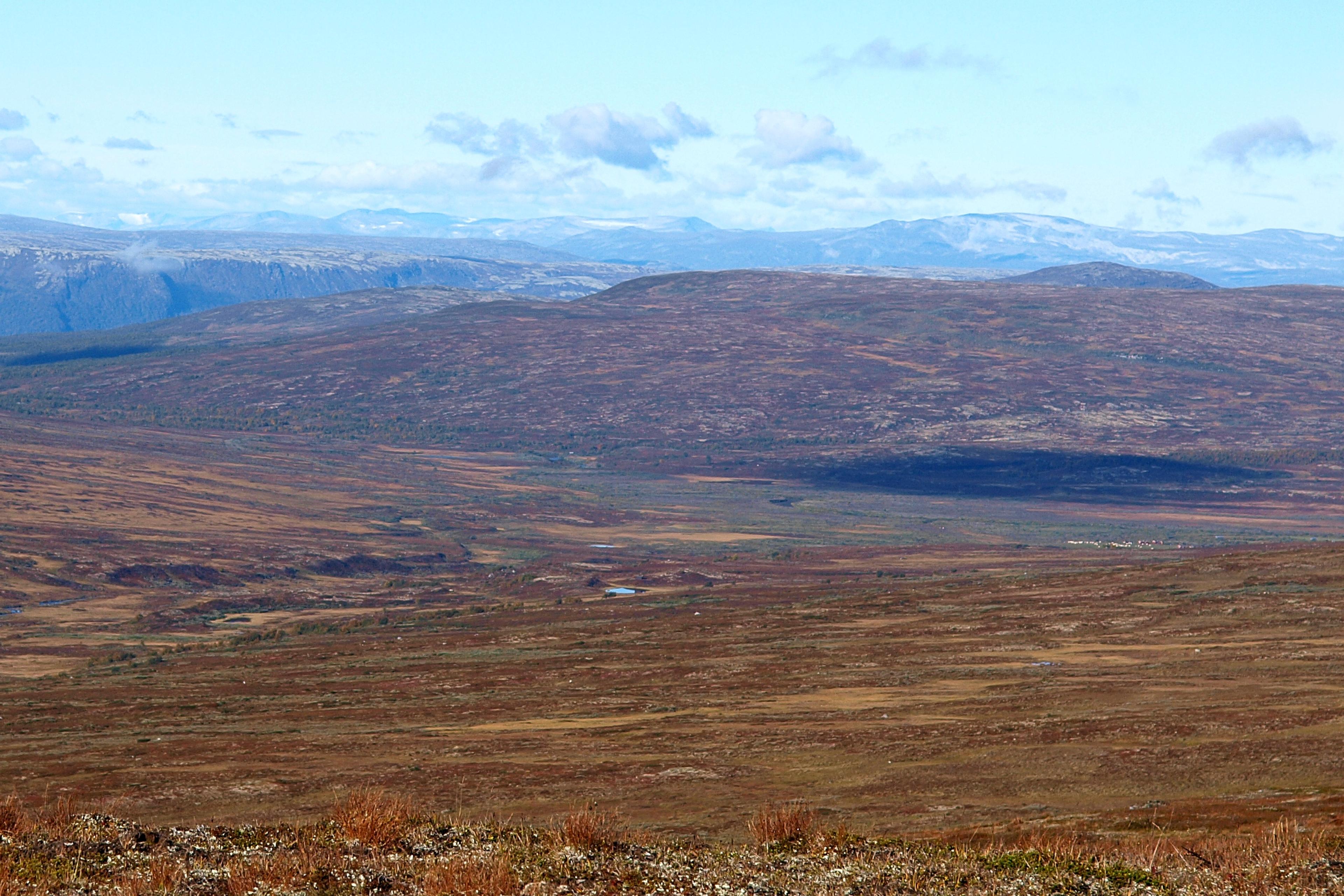 Grønntjønnan naturreservat