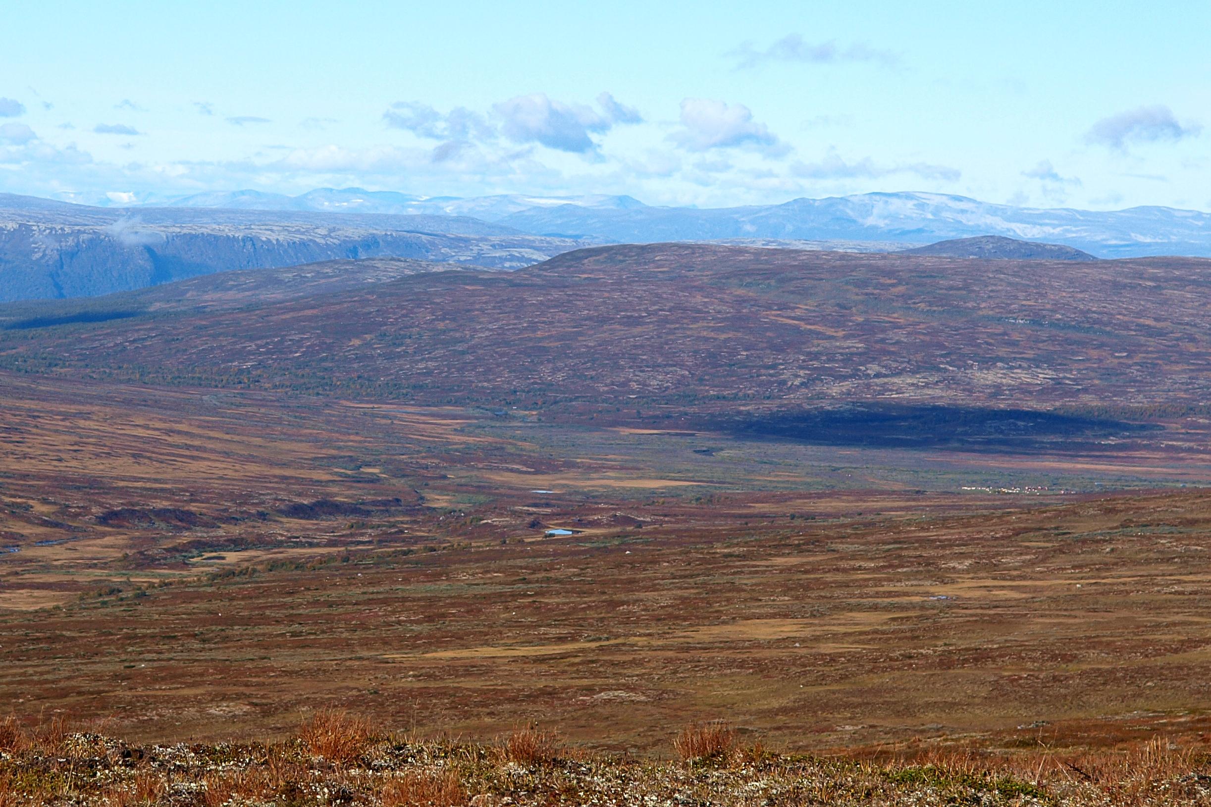 Grønntjønnan naturreservat
