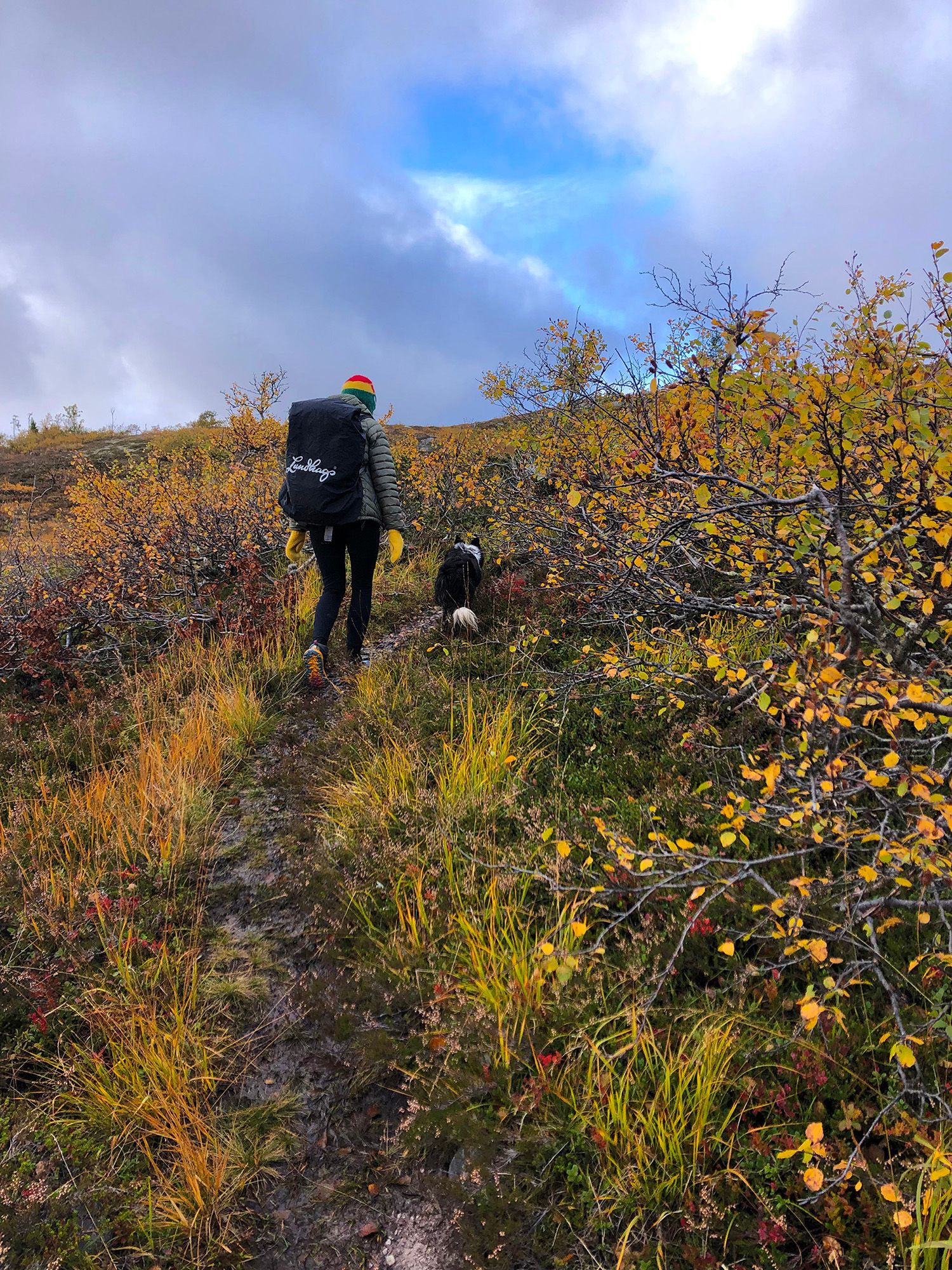Snåsa Plukktjønnfjellet tur 2021 Foto Linn Marita Larsson (16)