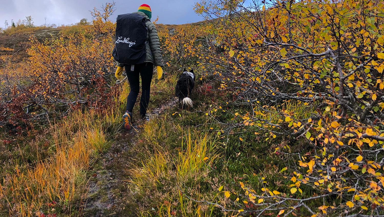 Snåsa Plukktjønnfjellet tur 2021 Foto Linn Marita Larsson (16)