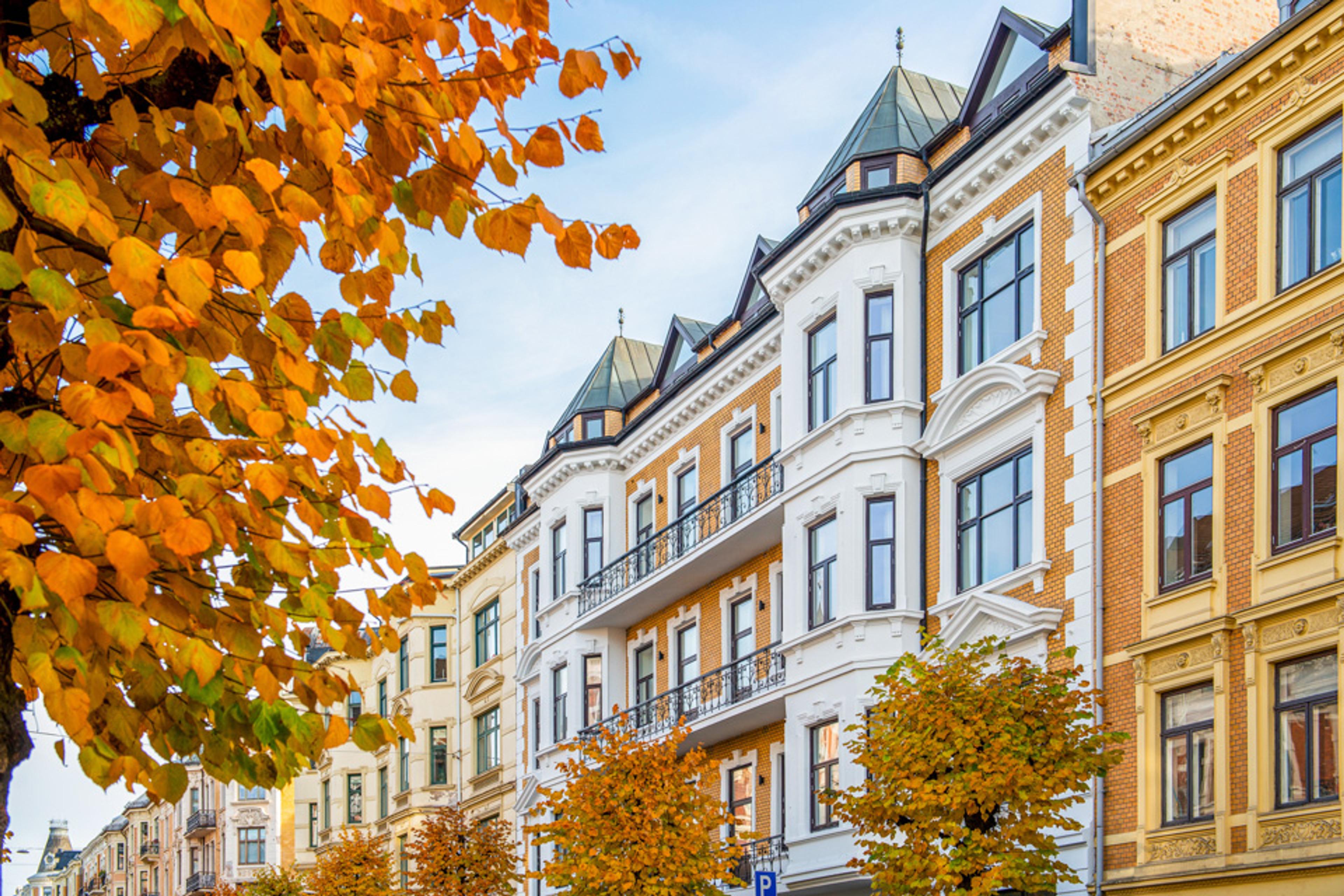 Fasader og løvtrær i Skovveien i Oslo. Høst. Foto